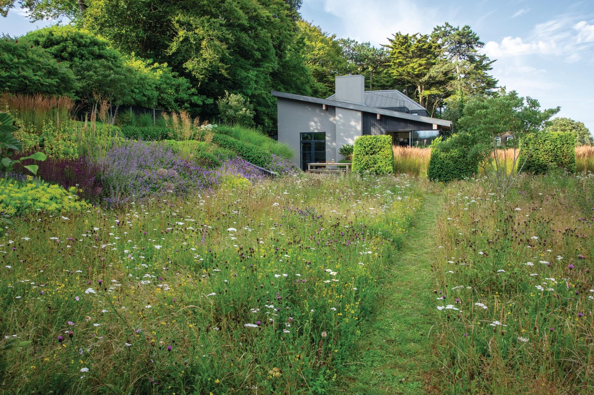 A meadow with a mown path going through it