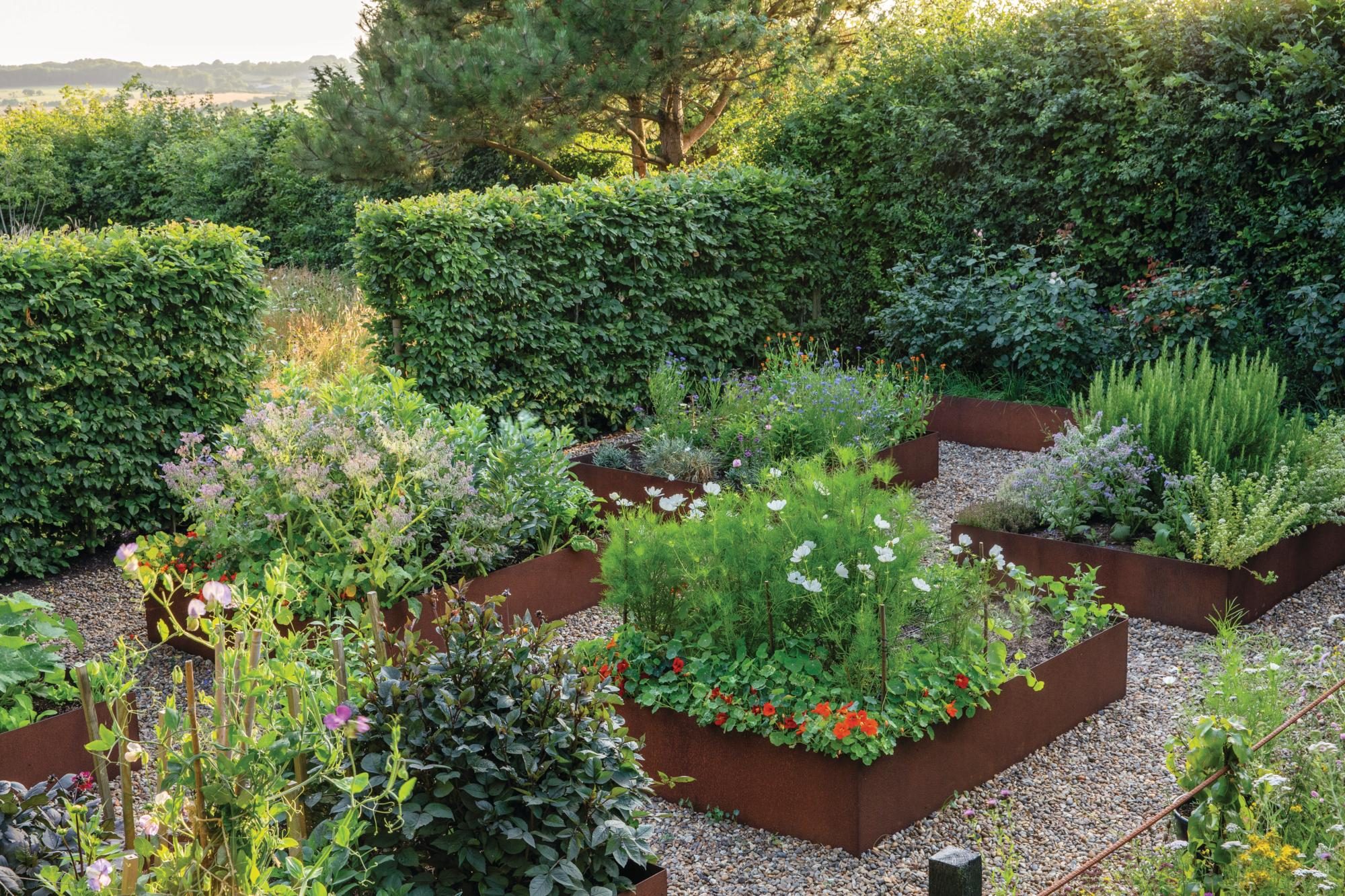 Raised corten steel flower and herb beds