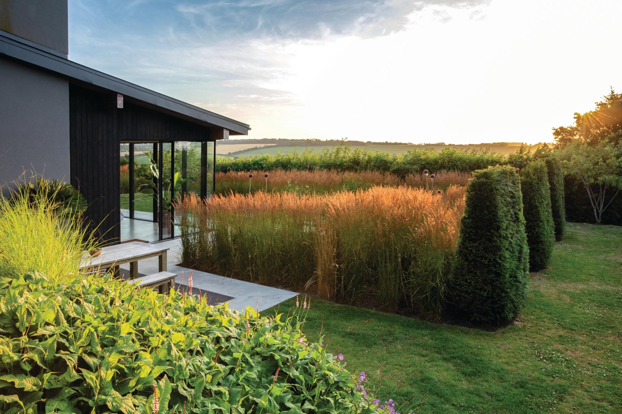 A black house with a garden and grasses