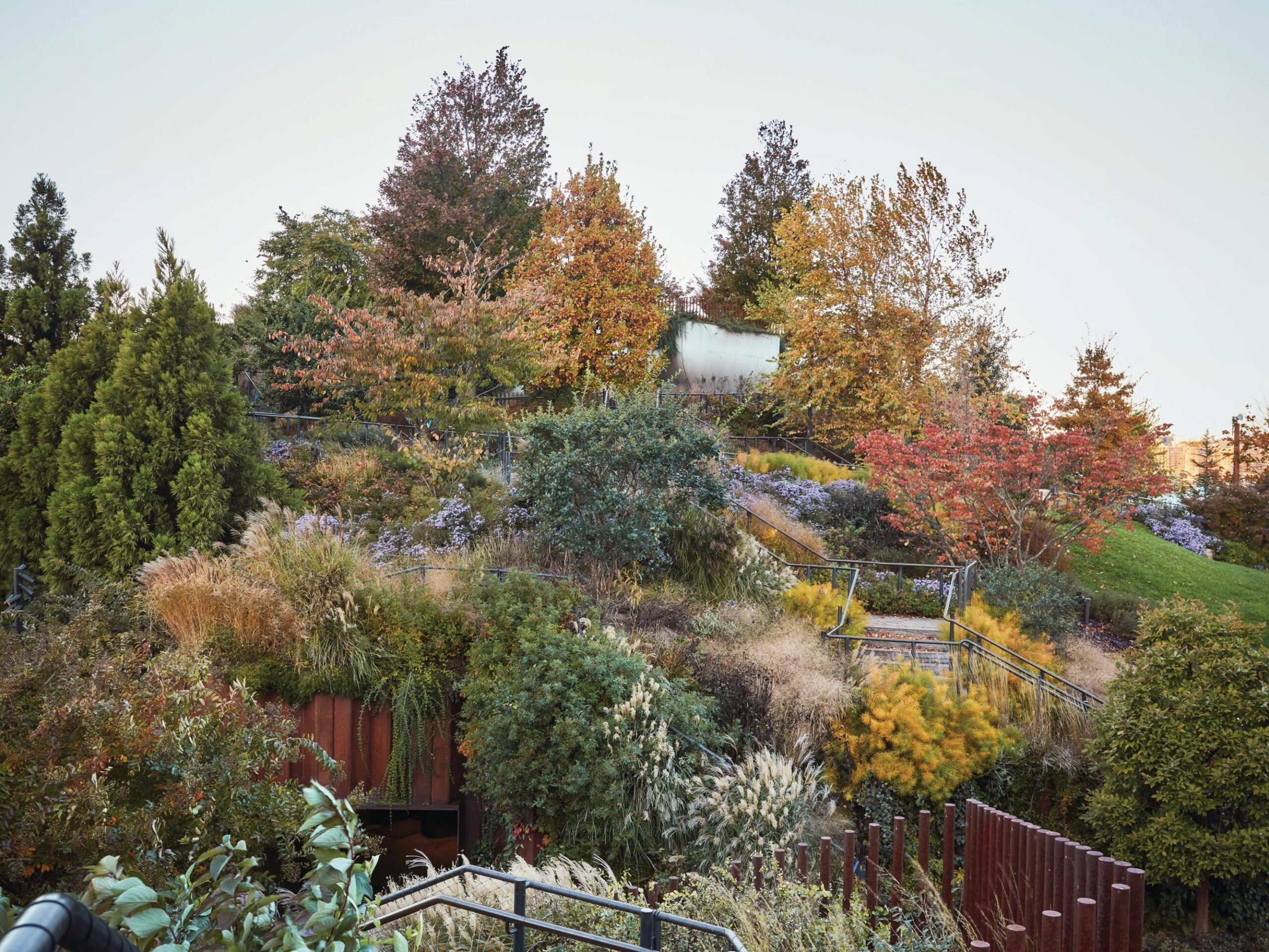 Garden steps and plants