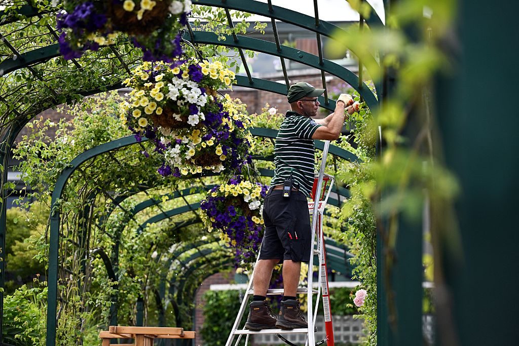 Someone on a ladder pruning flowers