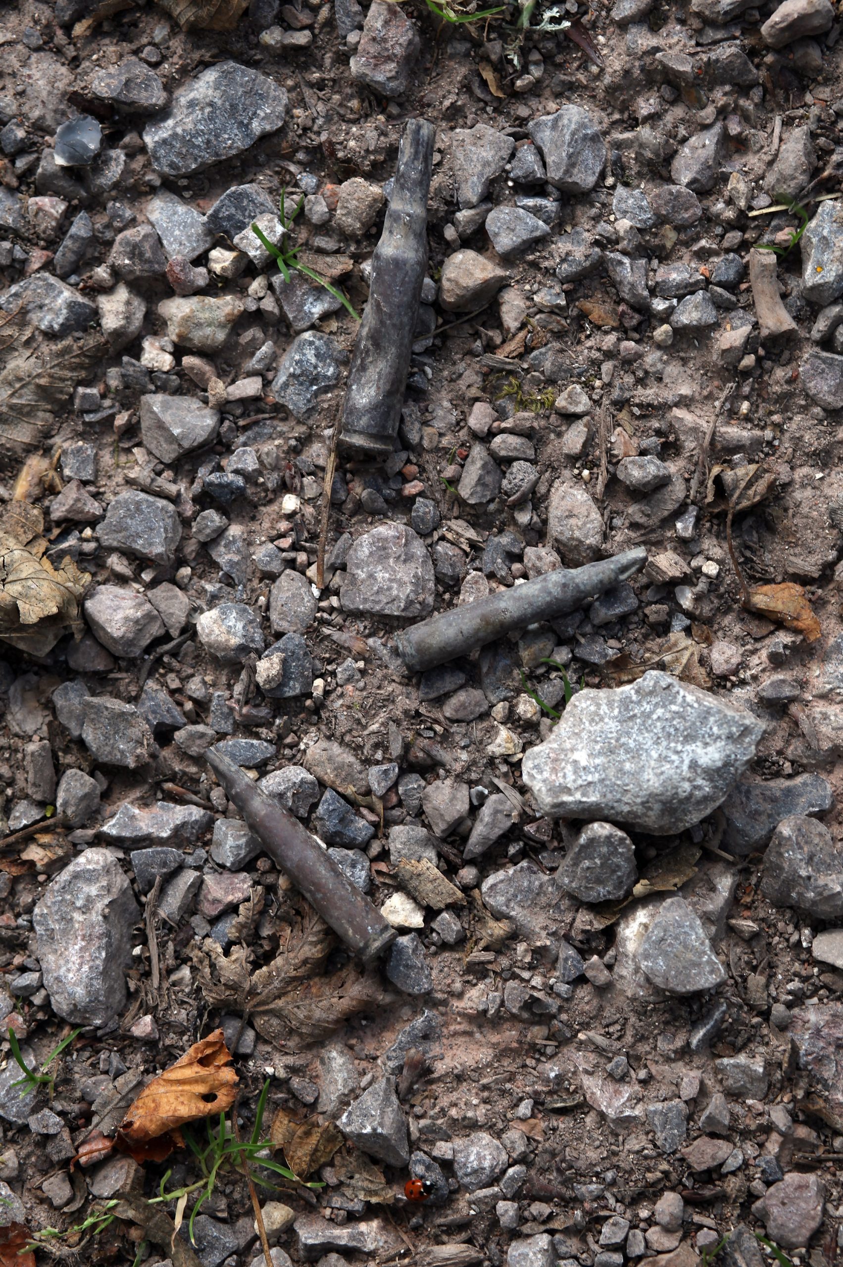 Never move what could be an unexploded ordnance – call the emergency services.  
