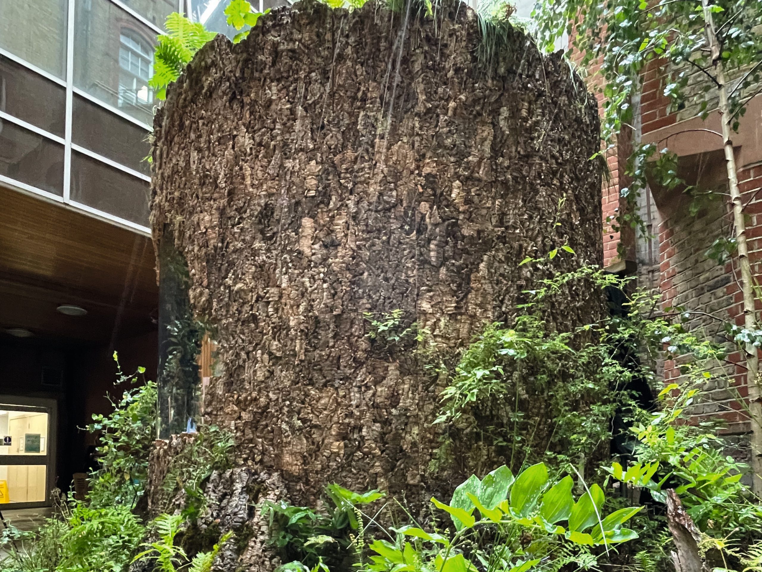 it took just six weeks to relocate Taina Suonio’s 2022 sanctuary garden Connected to University College London Hospital, where its larger-than-life oak tree stump provides a serene seating area for patients and staff