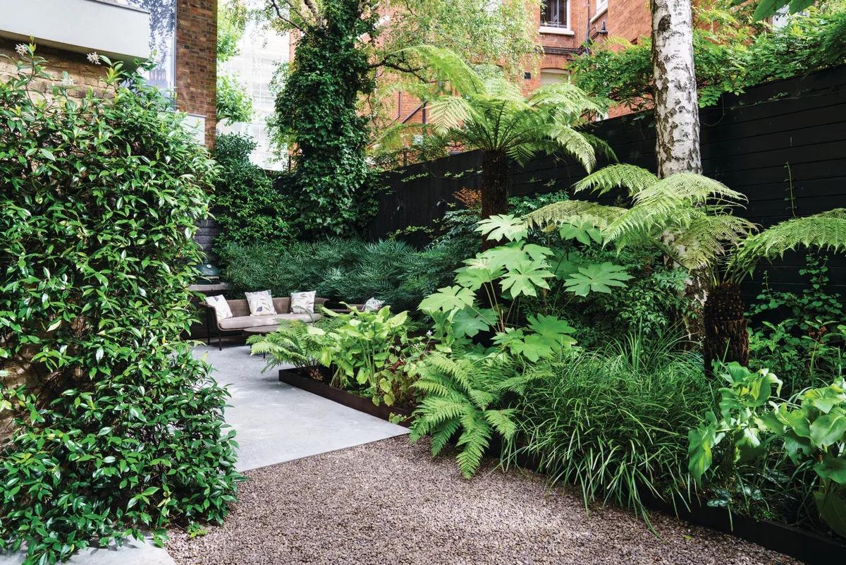 Declan Buckley Barons Court London Leafy garden with seating