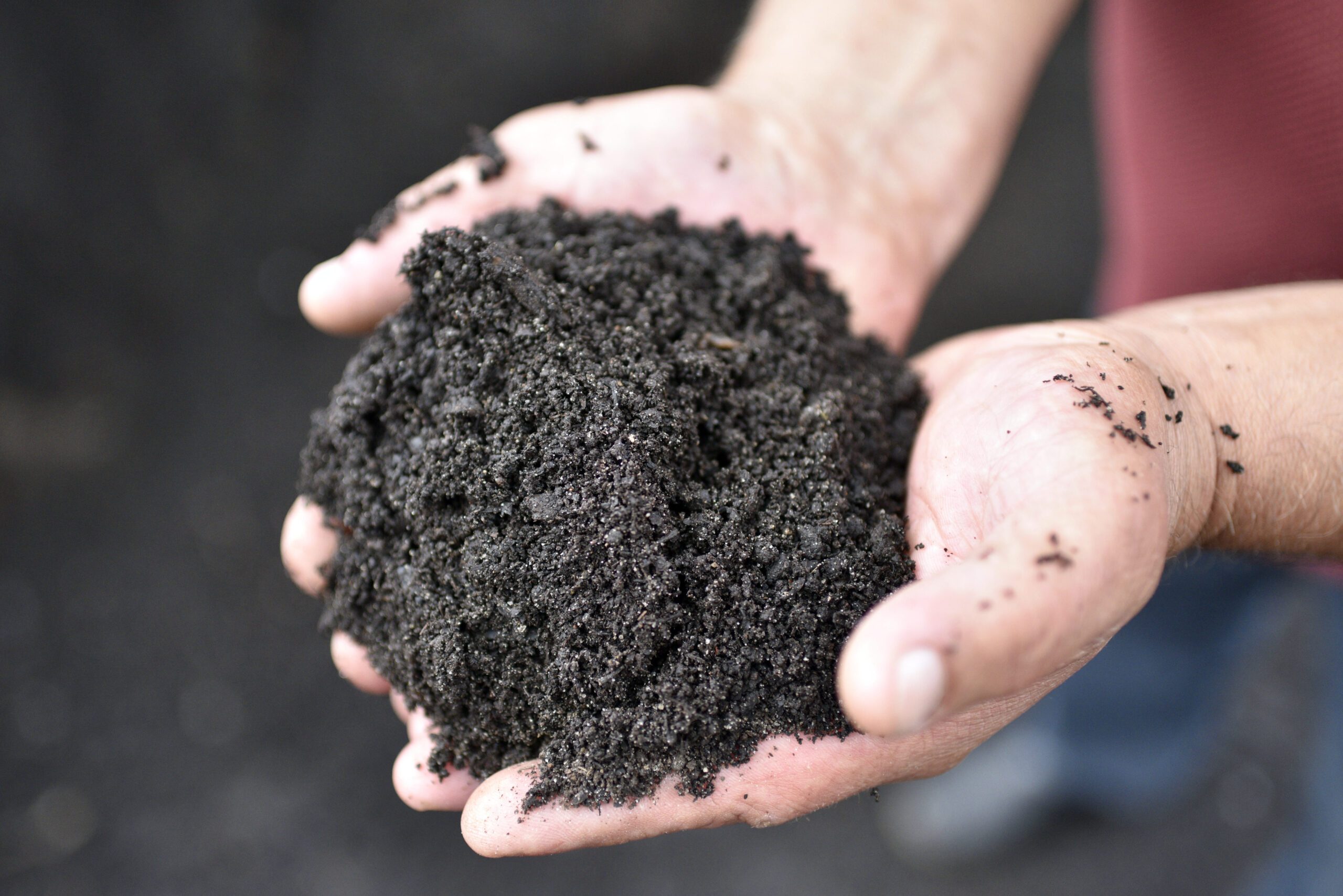 Compost
