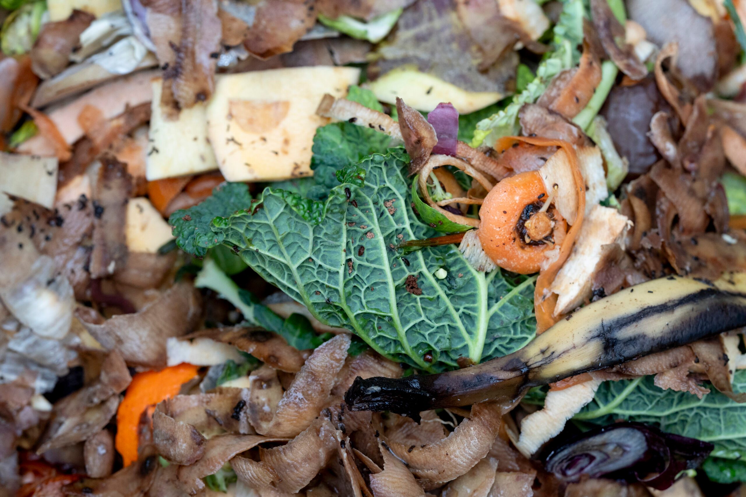 Composting veg
