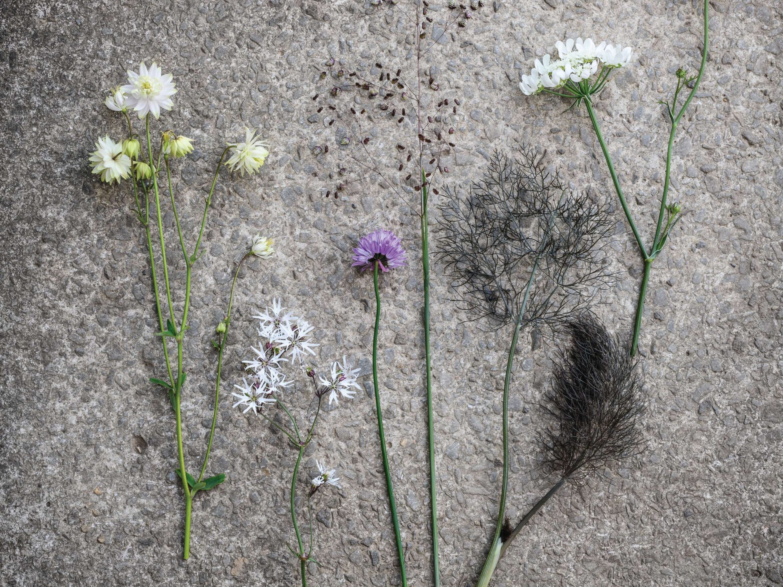 Edible plants needed for the planting in a bath container: Pots of Style with Jo Thompson