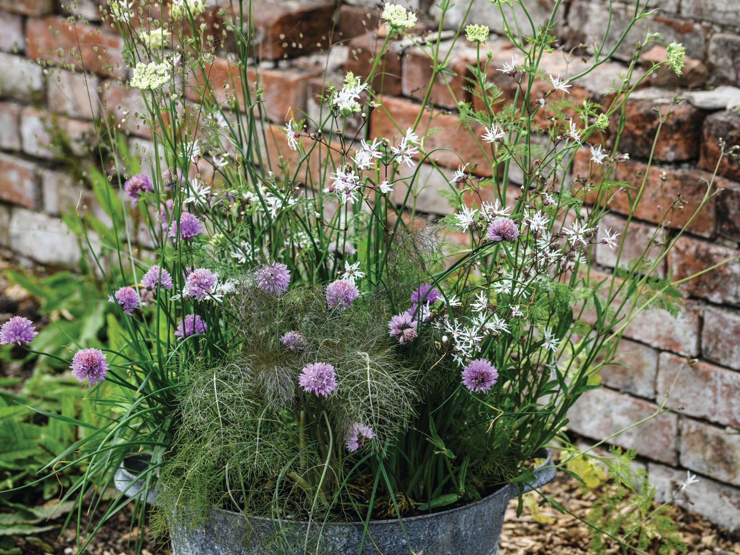 Edibles in a bath container: Pots of Style with Jo Thompson