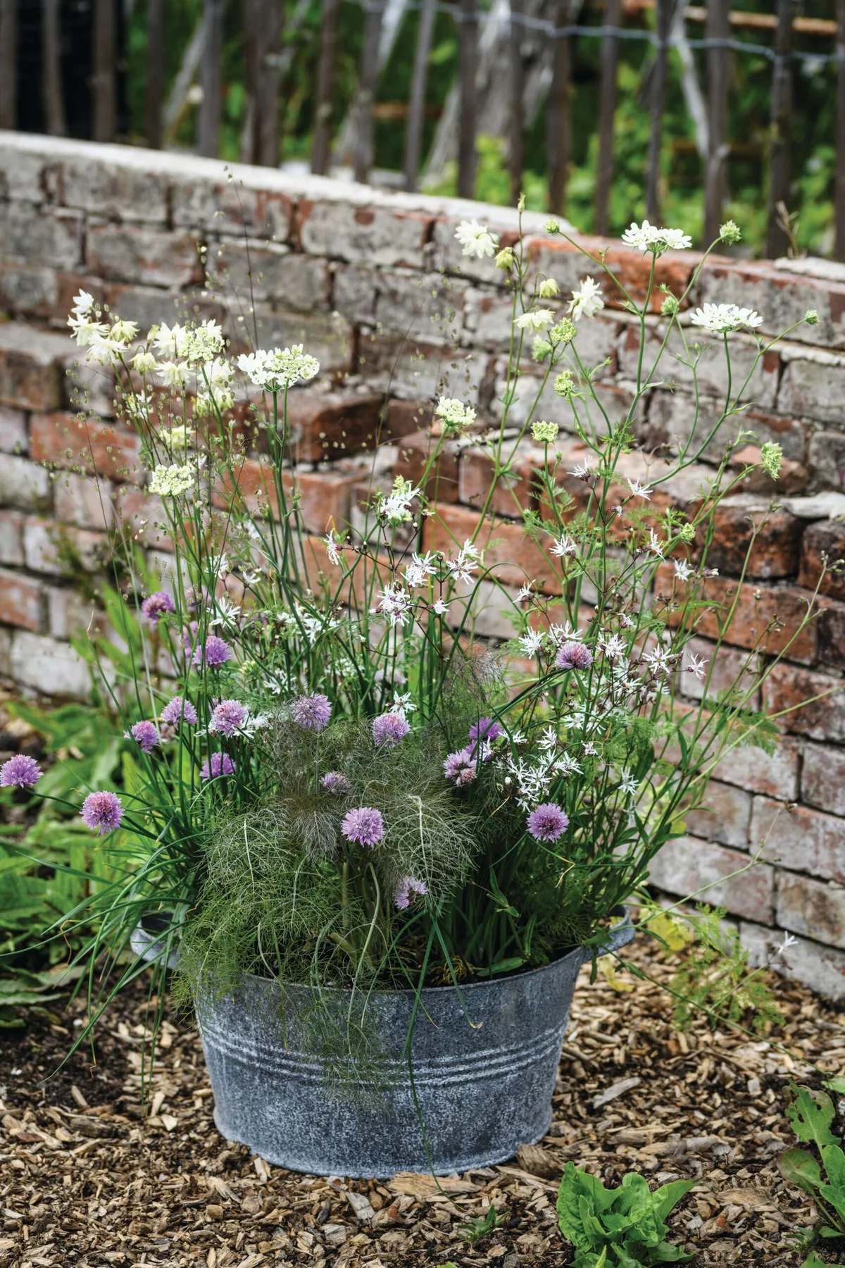 Edibles in a bath container: Pots of Style with Jo Thompson Edibles in a bath container: Pots of Style with Jo Thompson