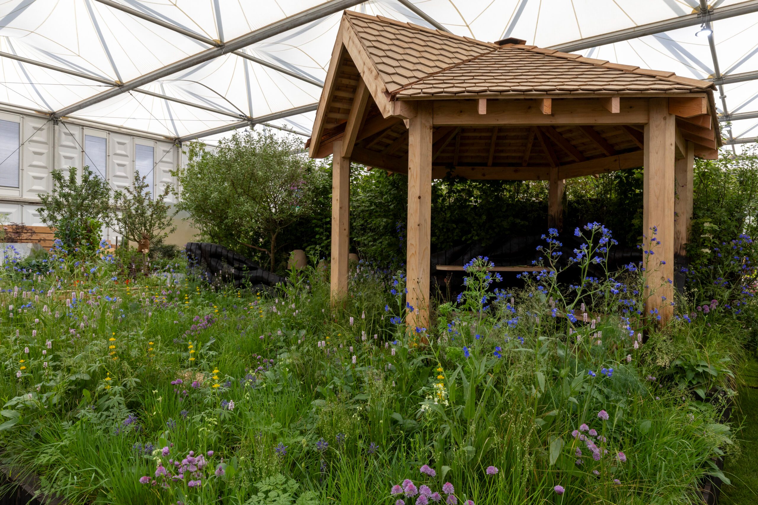 Bowel Research UK Microbiome Garden at RHS Chelsea Flower Show 2024. Designed by Chris Hull and Sid Hill. Sponsored by Project Giving Back. All About Plants.