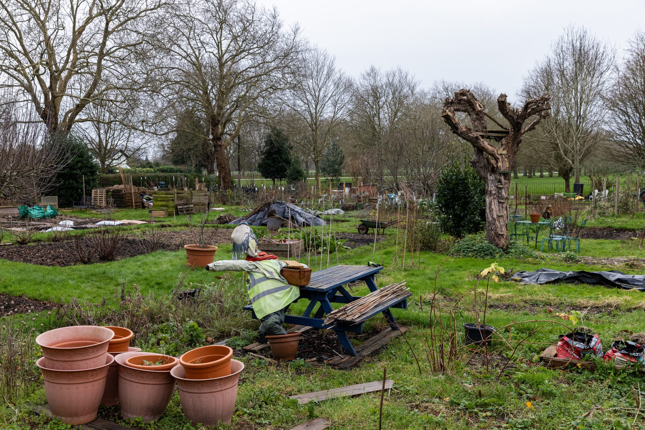 Windsor allotments 