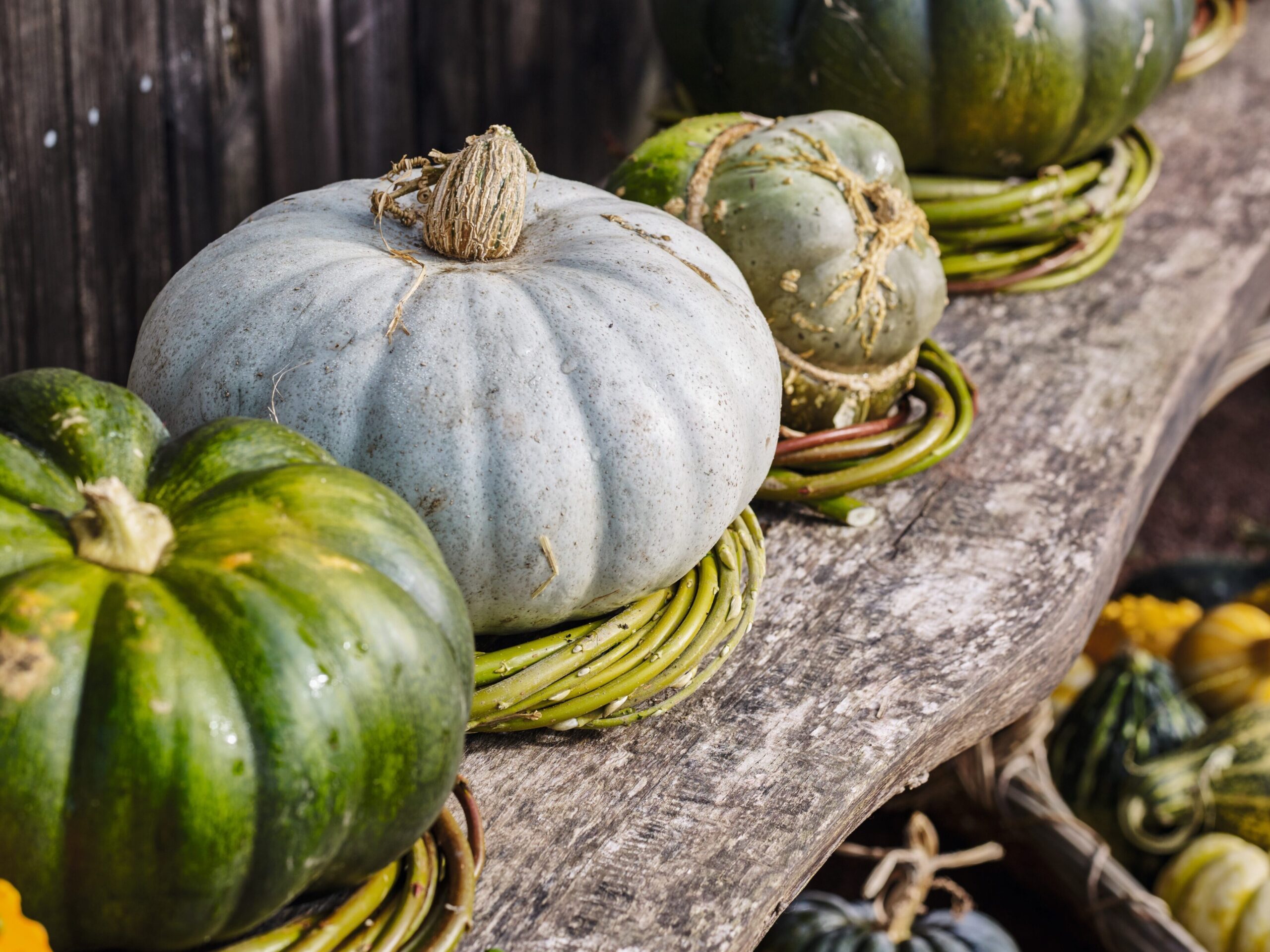 Natural support for pumpkins