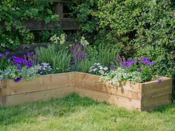 Raised beds Raised beds