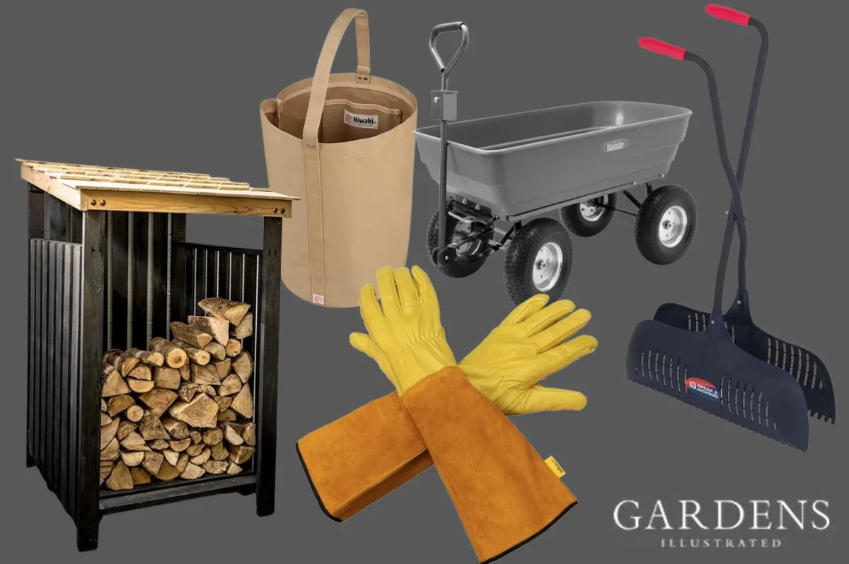 Autumn tidying kit Autumn tidying kit on a grey background
