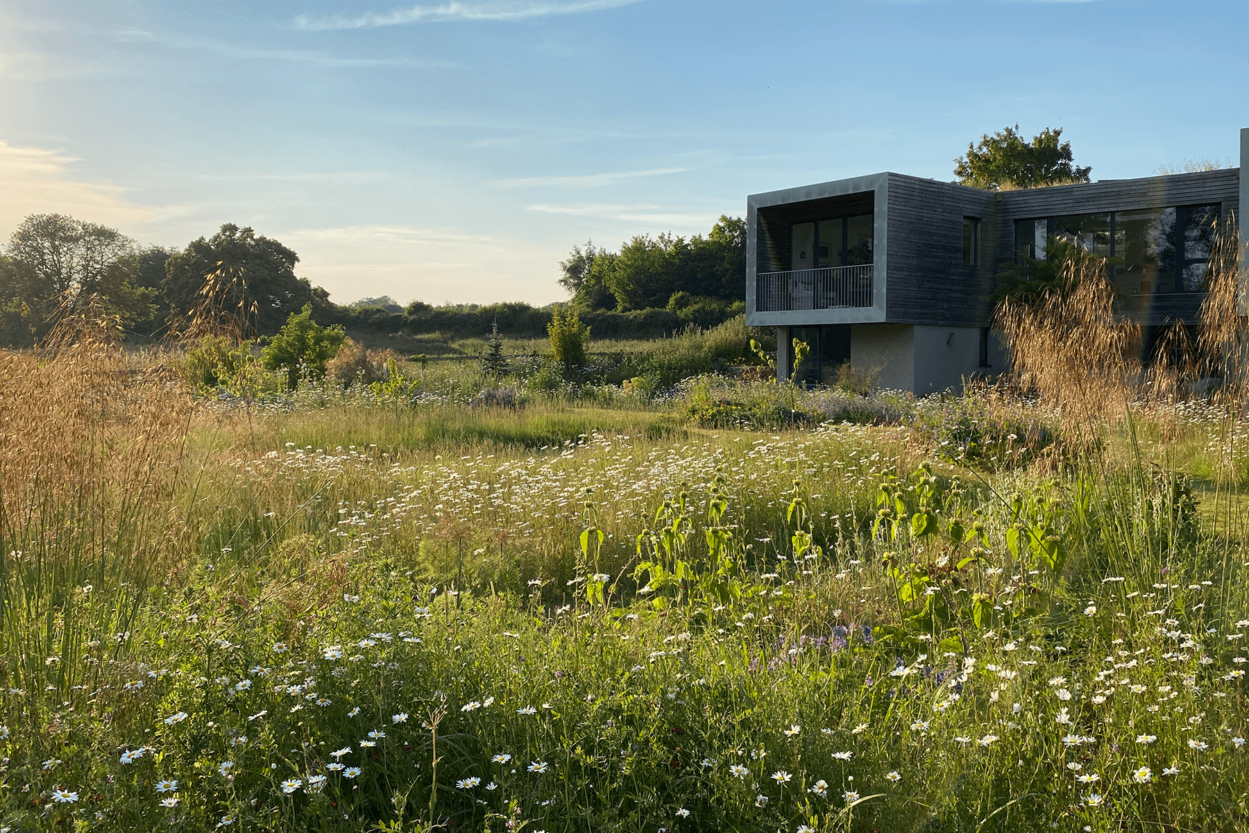 A Norfolk garden designed by Cargill Sykes