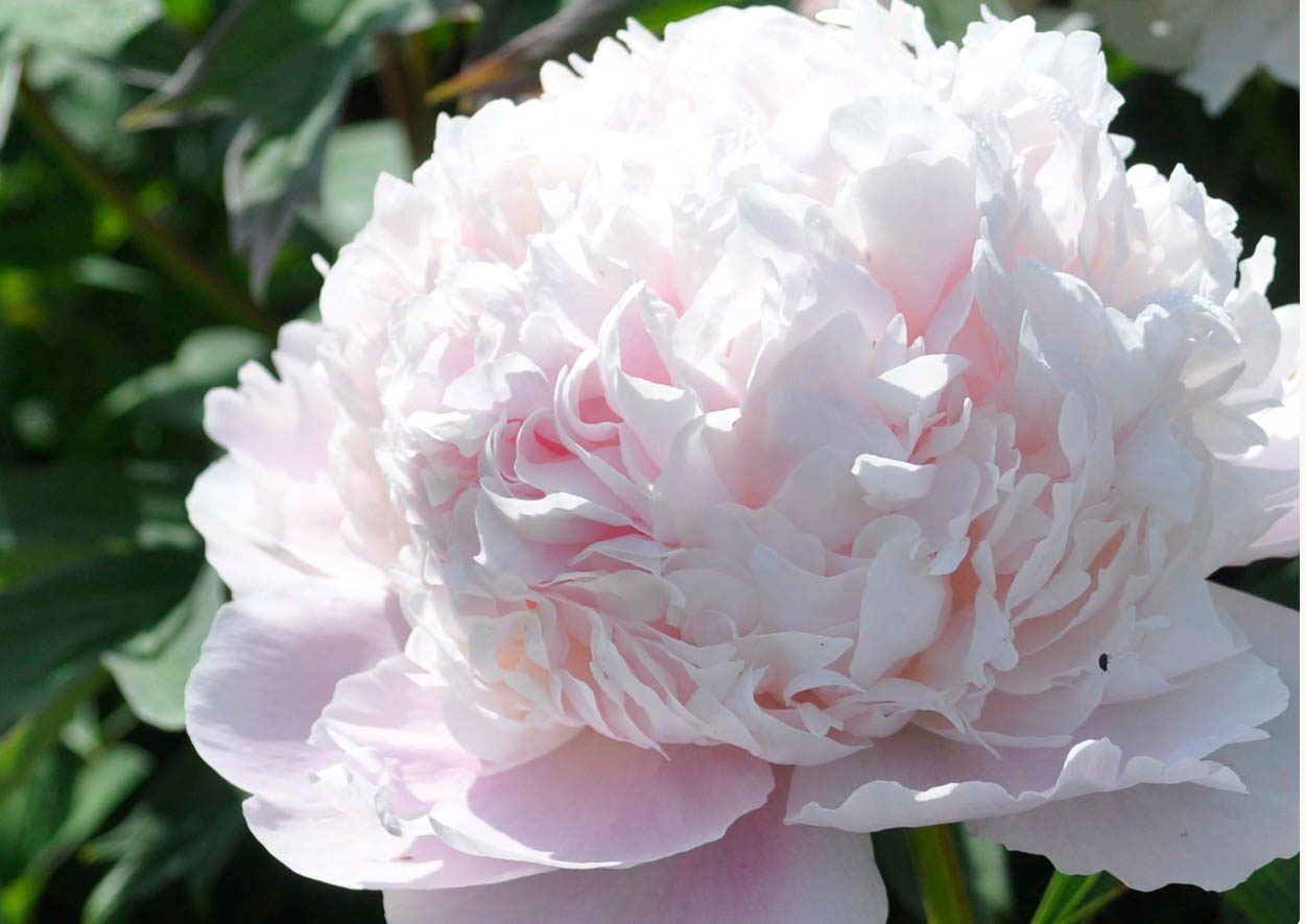 Claire Austin nursery