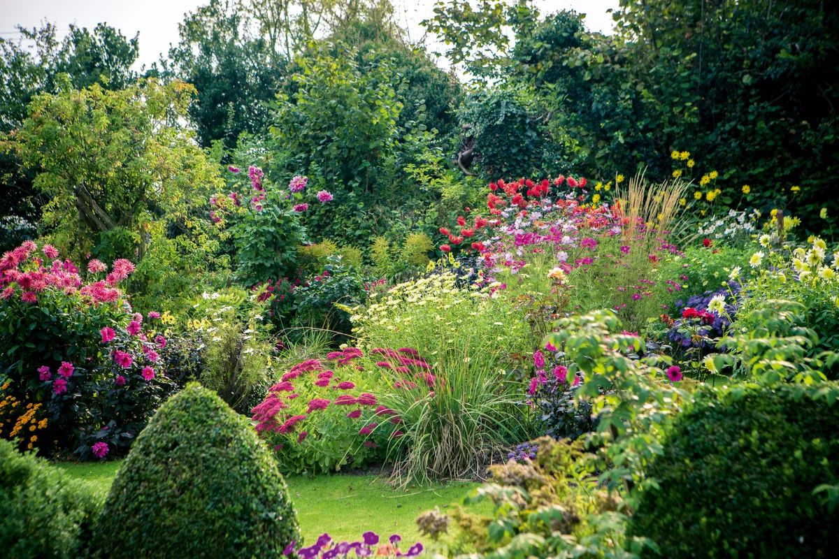Deryck Body's garden Deryck Body's garden