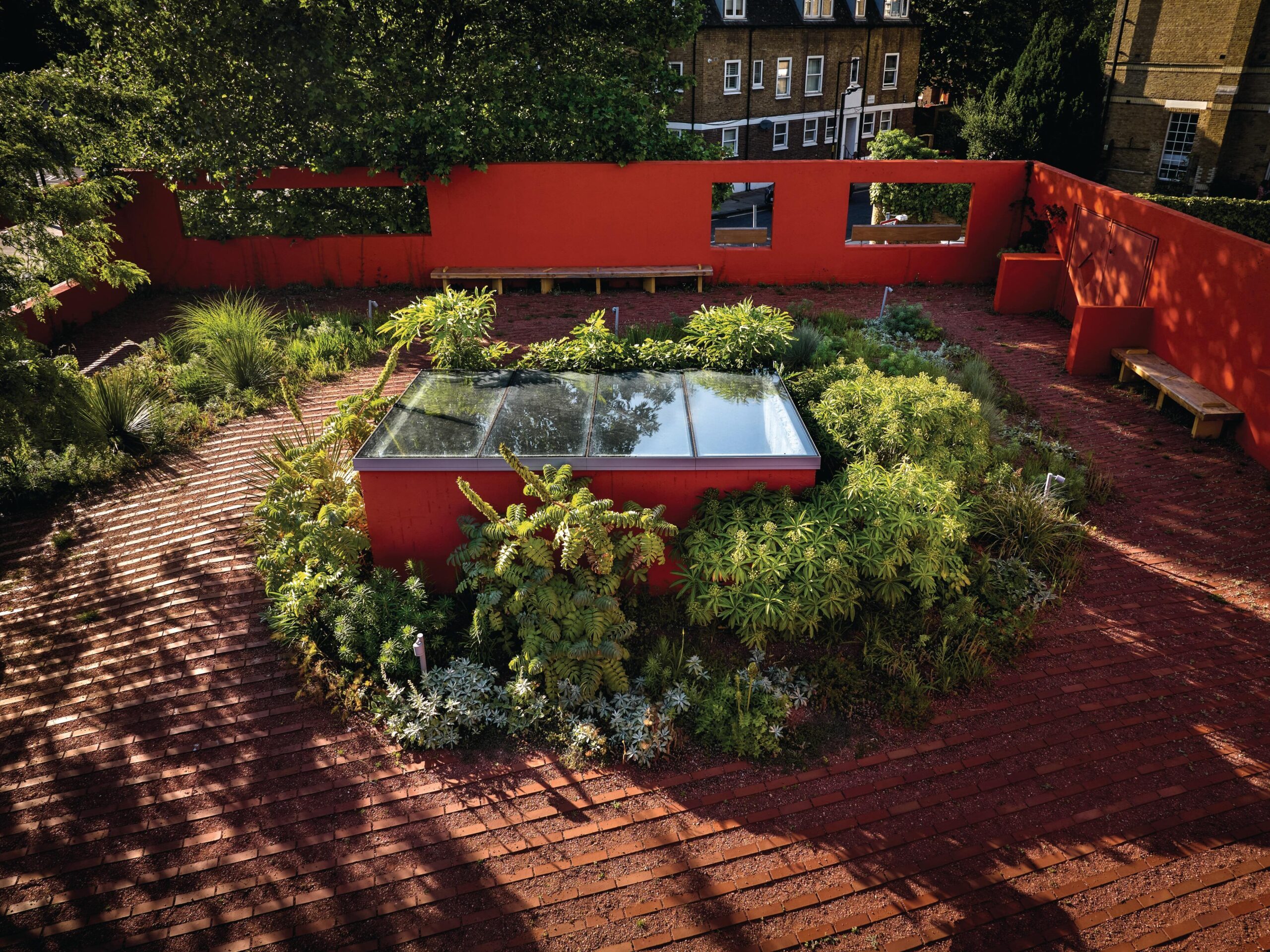 Urban rooftop garden