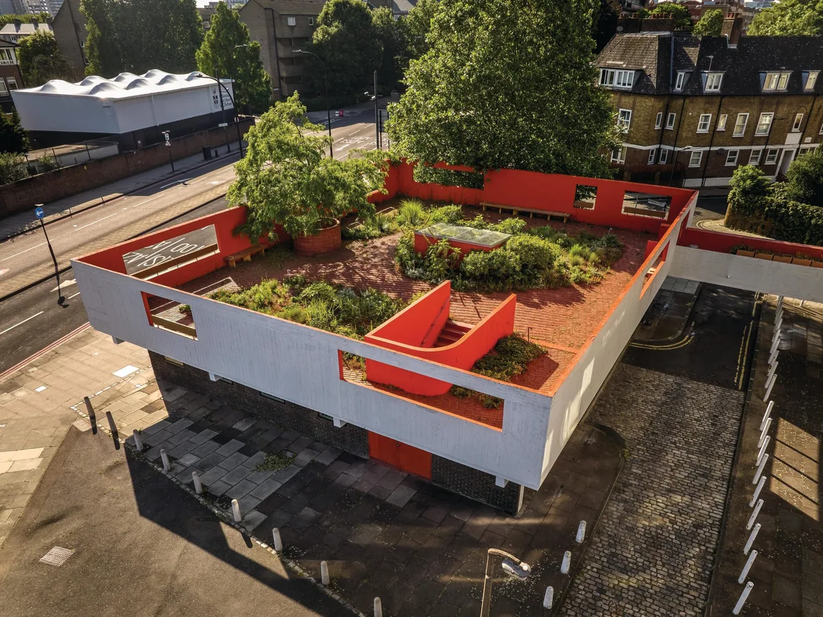 Peveril roof garden in London designed by Nigel Dunnett Urban rooftop garden in sunshine