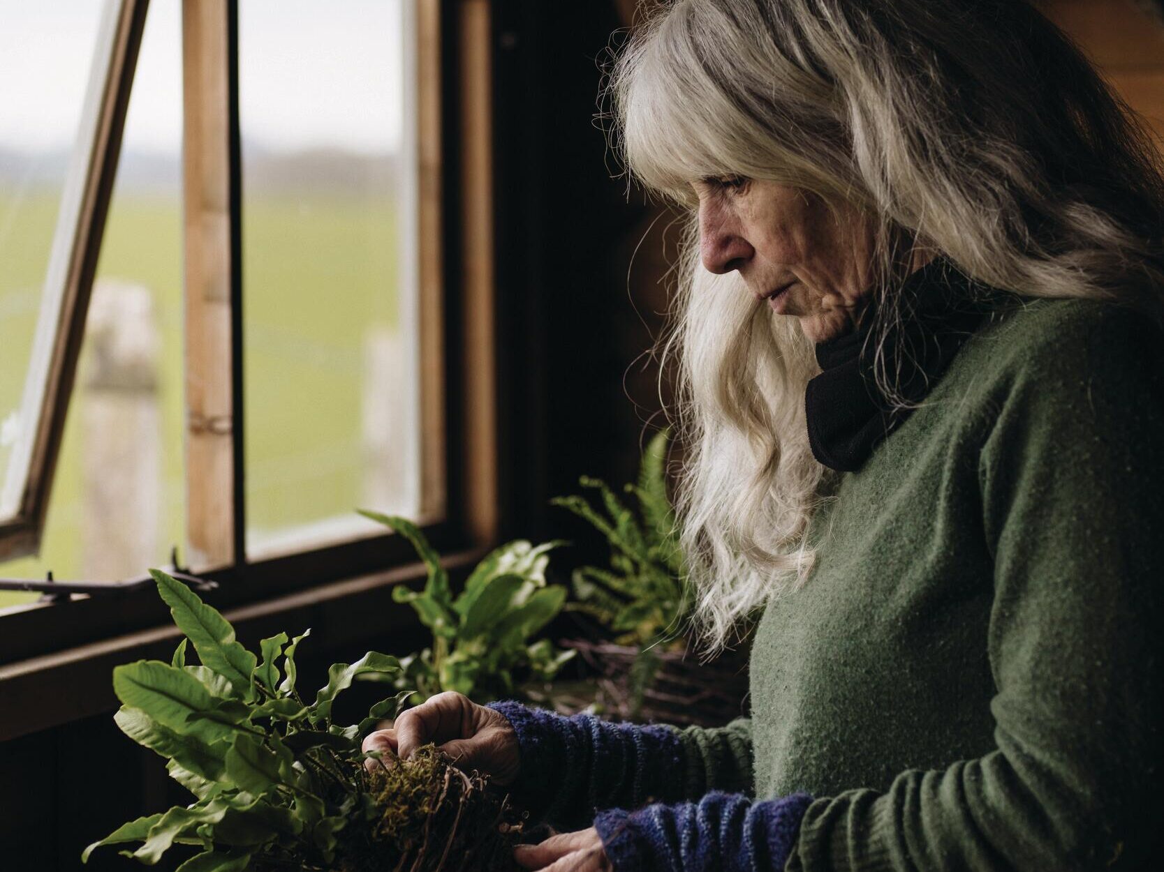 Jacky Mills planting up a gnarly wood stump planted up using moss and ferns for Easter