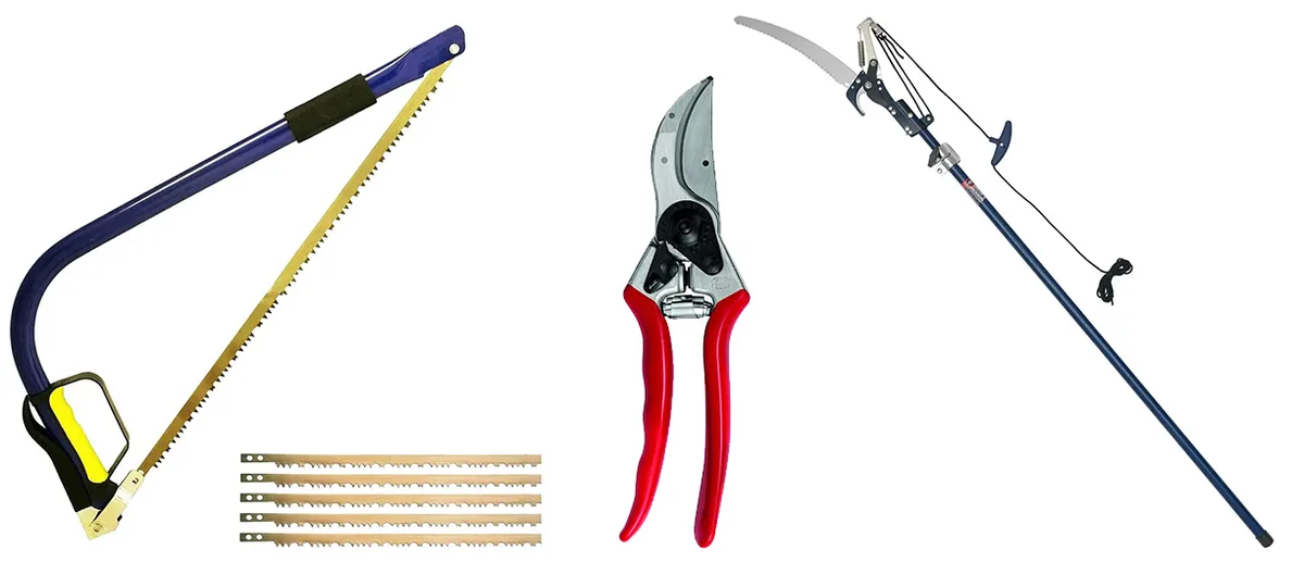 Pruning tools Pruning tools on a white background
