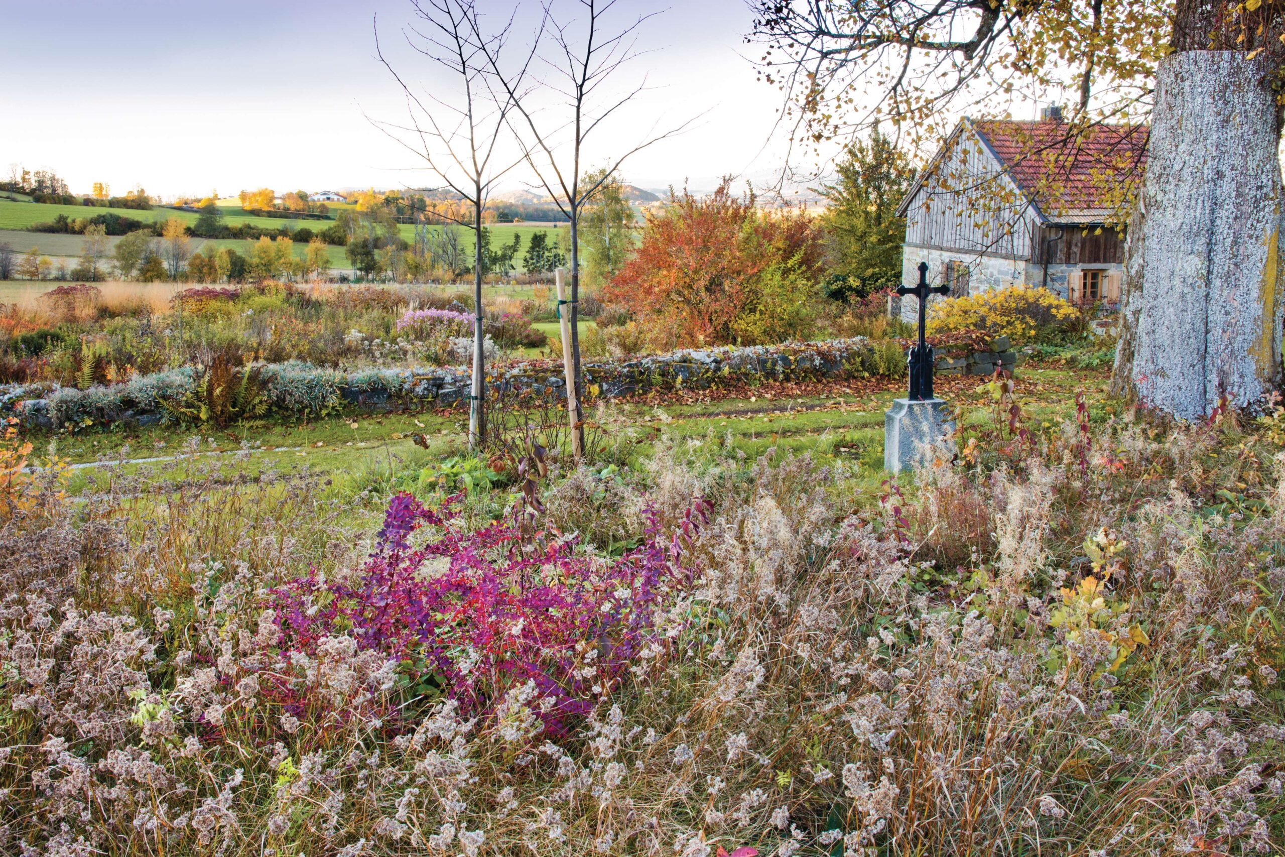 Karin Winkler's garden in  Germany
