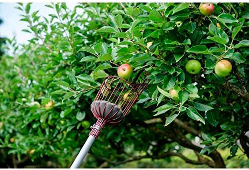 Kent & Stowe Telescopic Fruit Picker