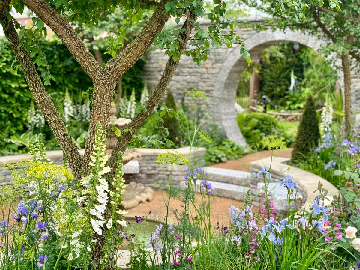 The Bridgerton Garden at RHS Chelsea Flower Show, designed by Holly Johnston The Bridgerton Garden at RHS Chelsea Flower Show, designed by Holly Johnston