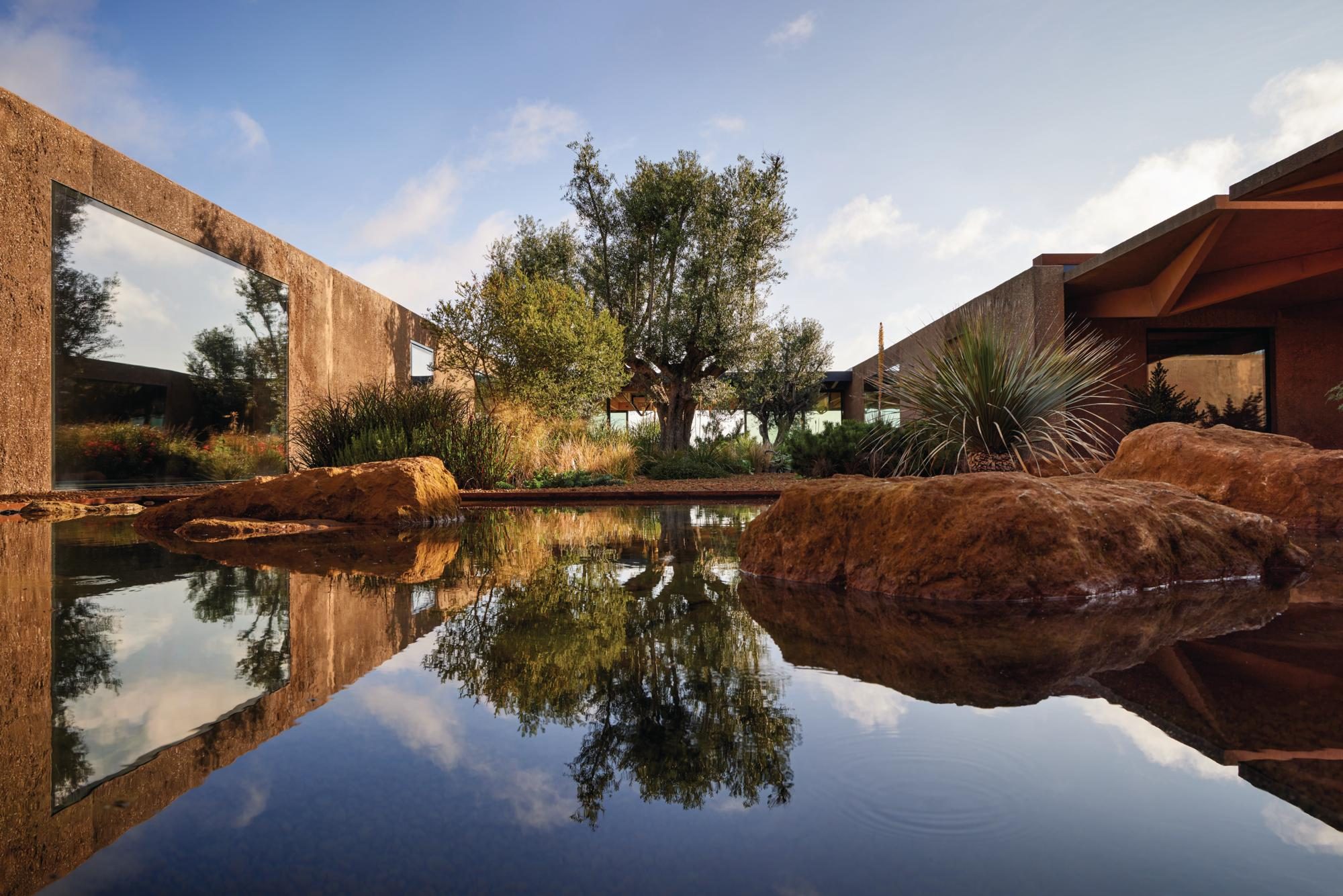 A pool with the reflection of a large olive tree and boulders