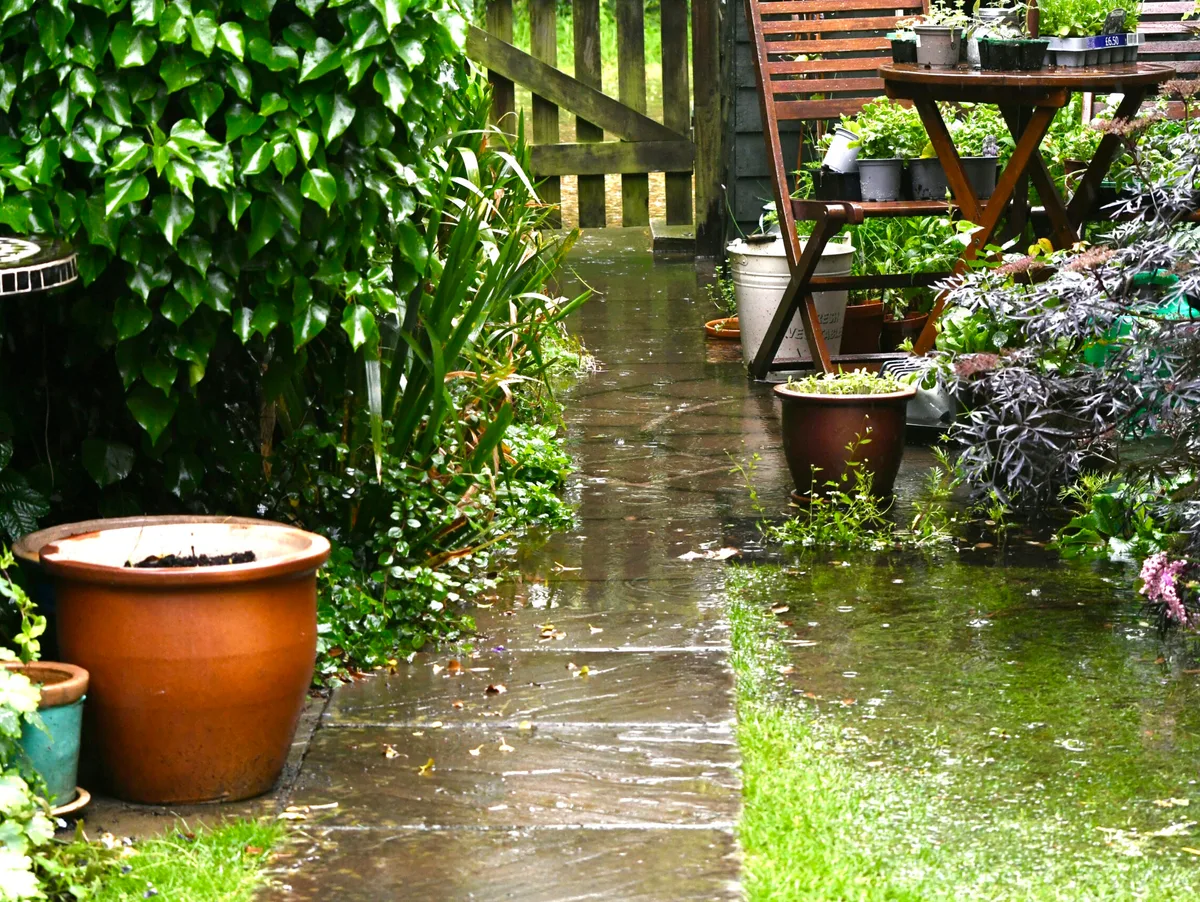 Flooded garden A small domestic garden with flooding after a very wet winter and spring in the UK this year.