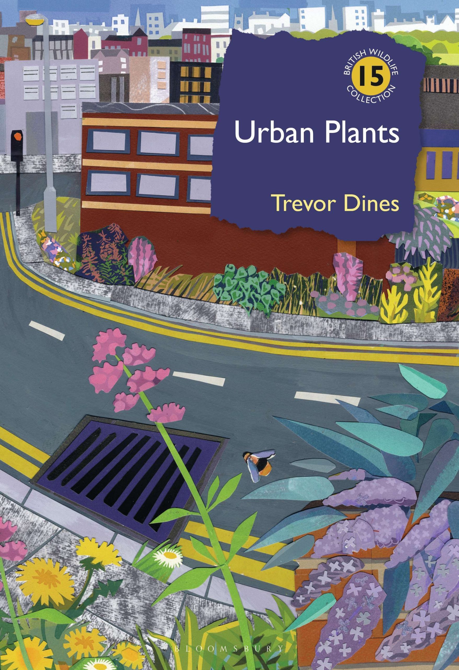 Book Jacket