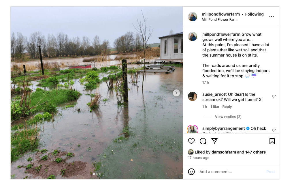 Mill Pond Flower Farm's instagram post