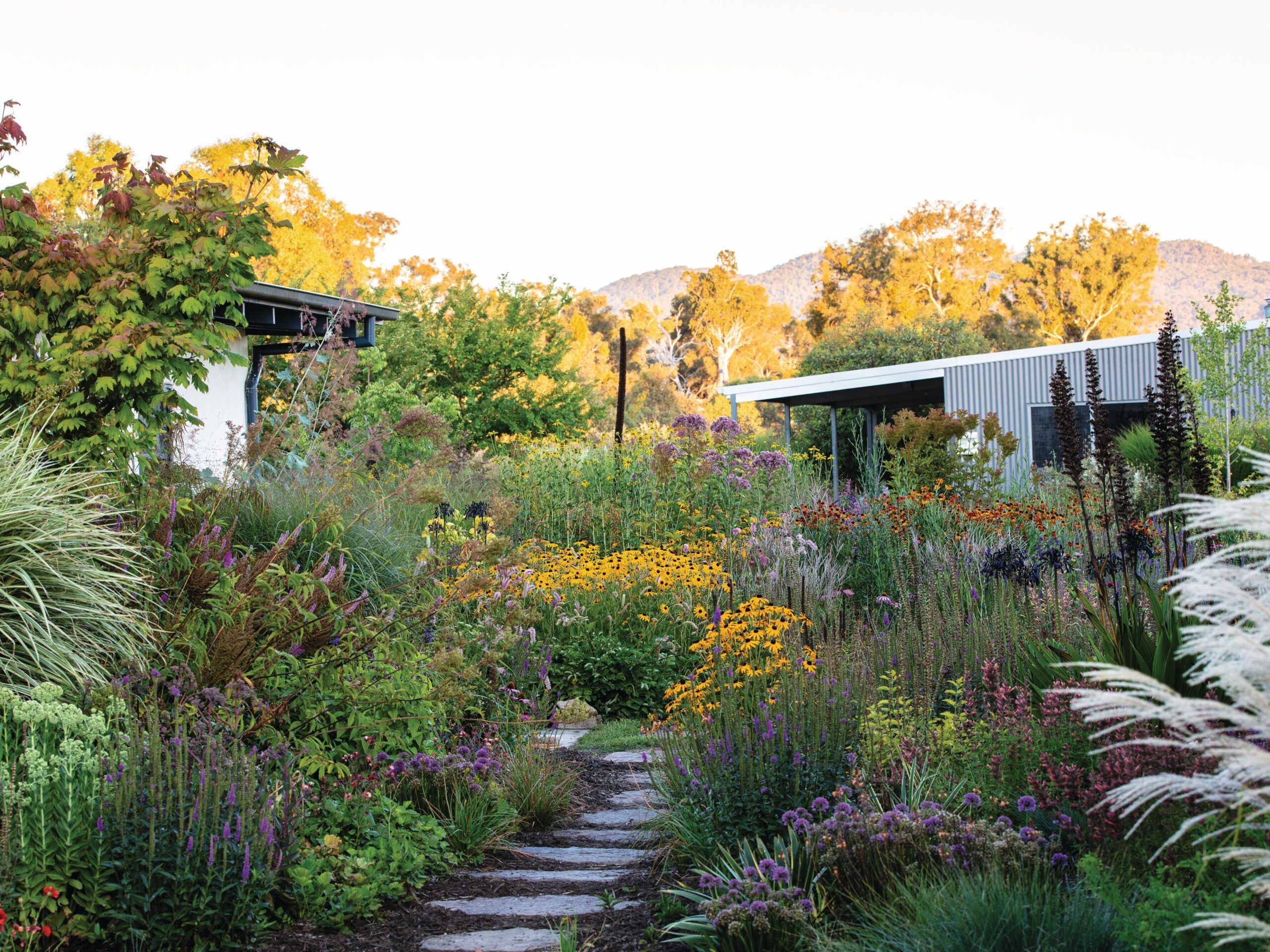 Colourful summer garden with buildings
