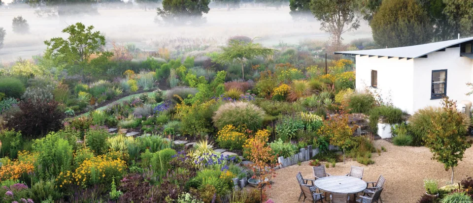 Australian garden