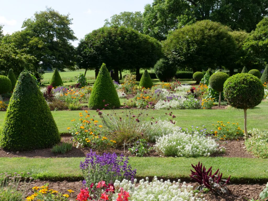 Summer in the parterres at Westbury Court Garden, Gloucestershire Westbury Court Garden, Gloucestershire