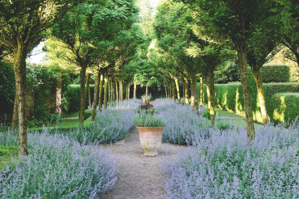 Cothay Manor Cothay Manor