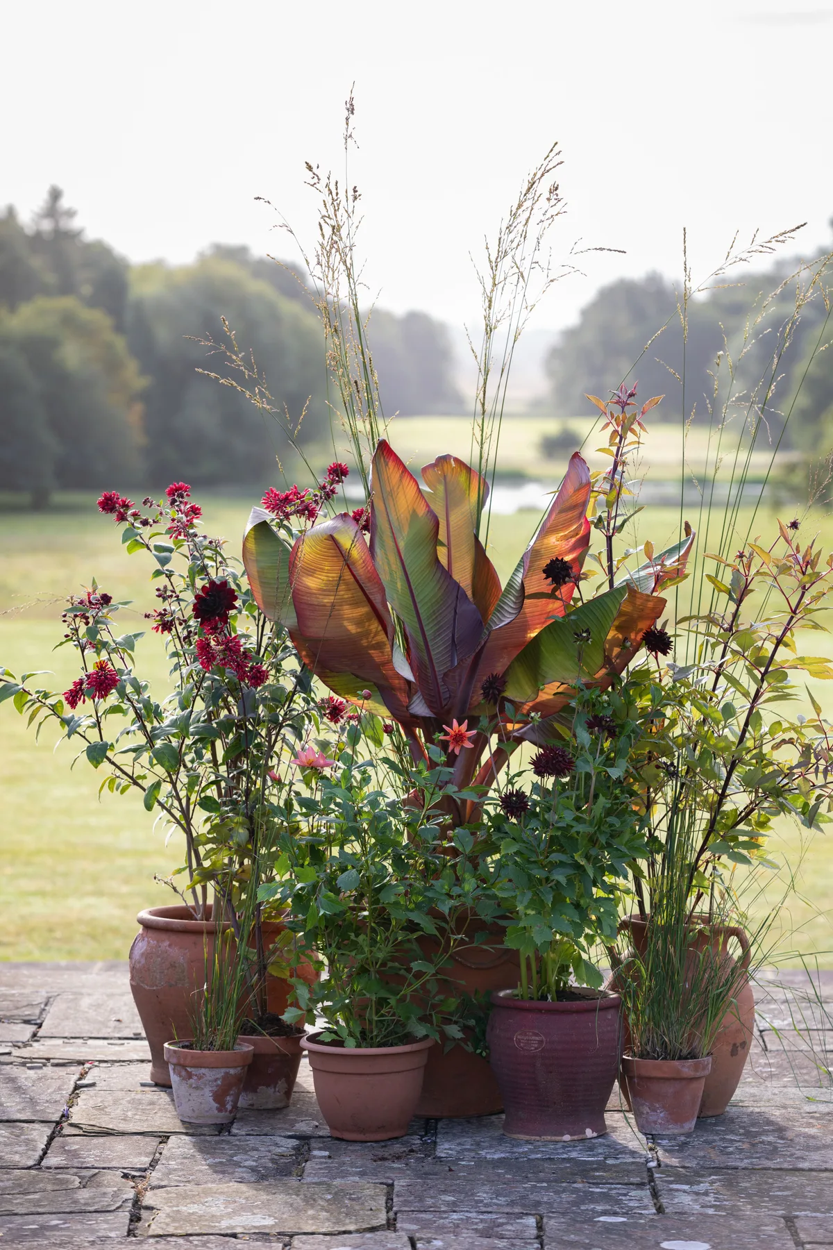 Pots of Style, September, designed by Jenny Barnes, Head Gardener at Cottesbrooke Hall gardens. Pots of Style, September, designed by Jenny Barnes, Head Gardener at Cottesbrooke Hall gardens.