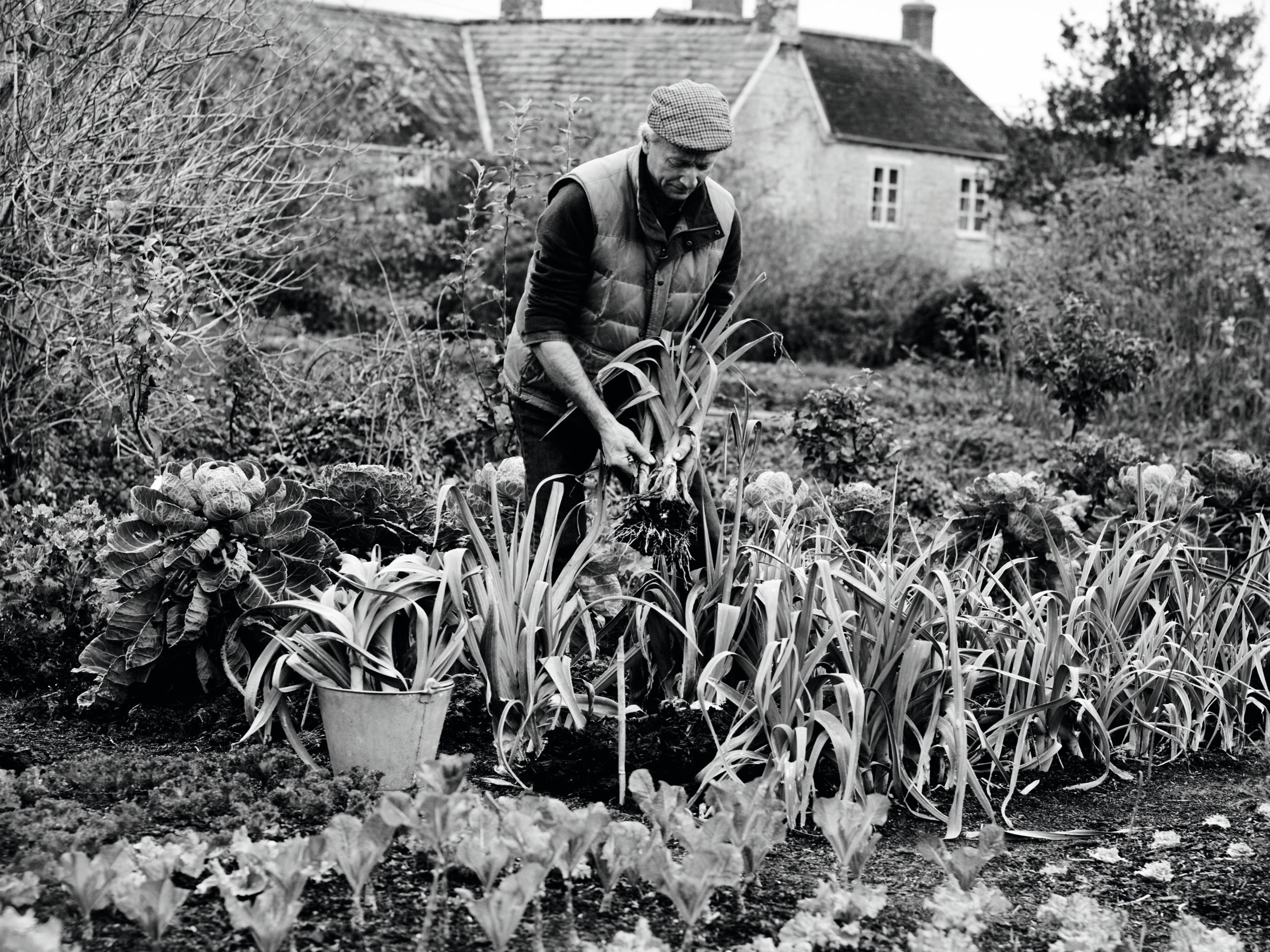 No-dig gardener Charles Dowding in his quarter-acre organic vegetable garden in Somerset