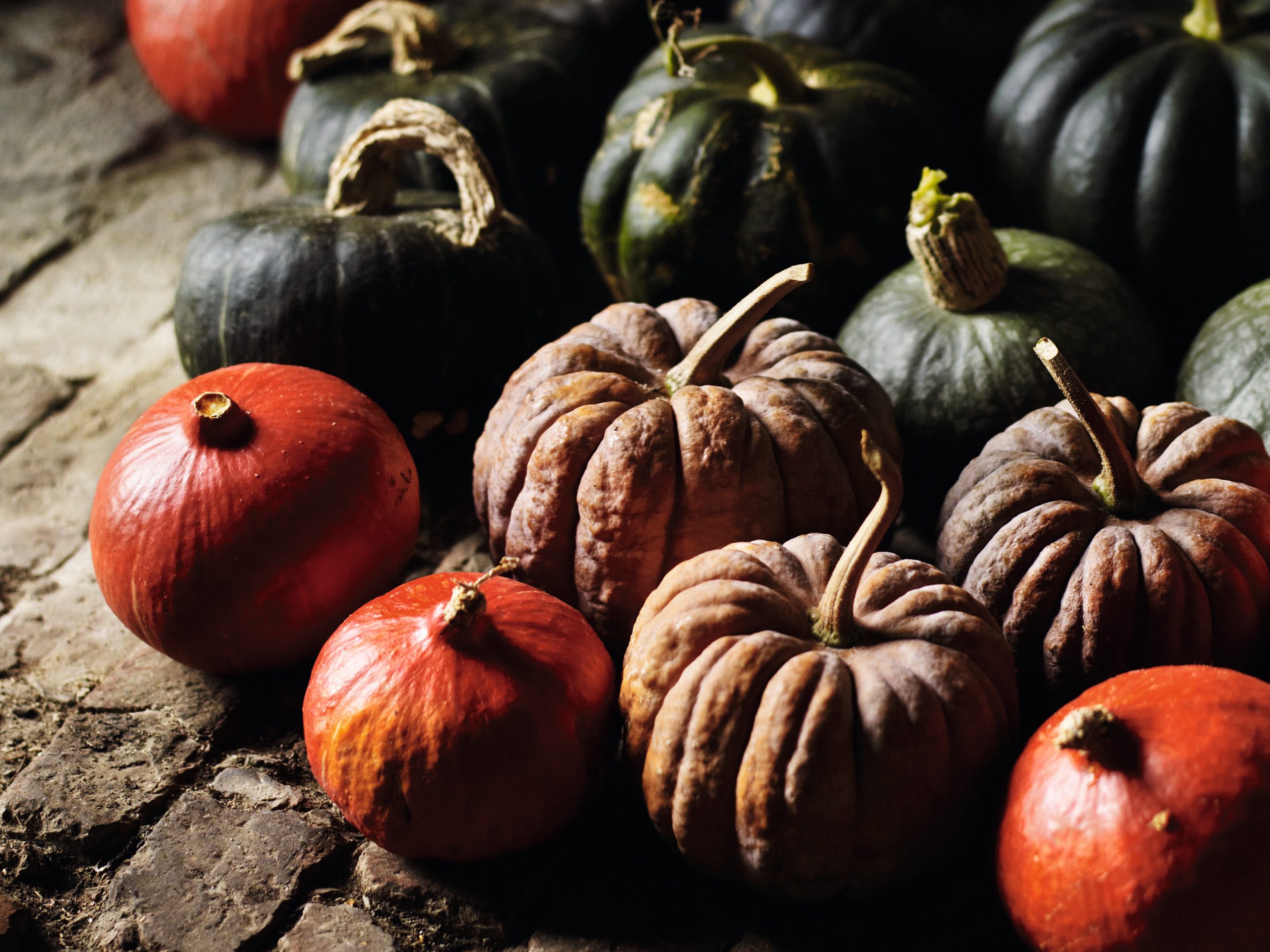 Different varieties of winter squash and pumpkins gathered together on cobbled floor