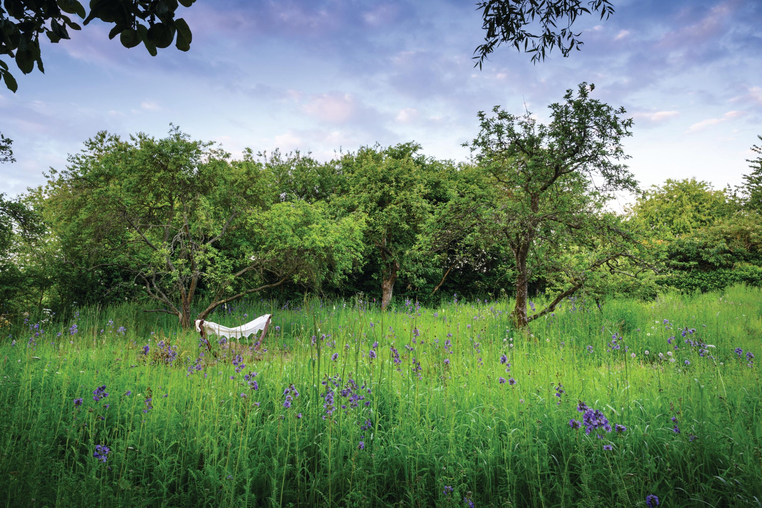 Meadow garden