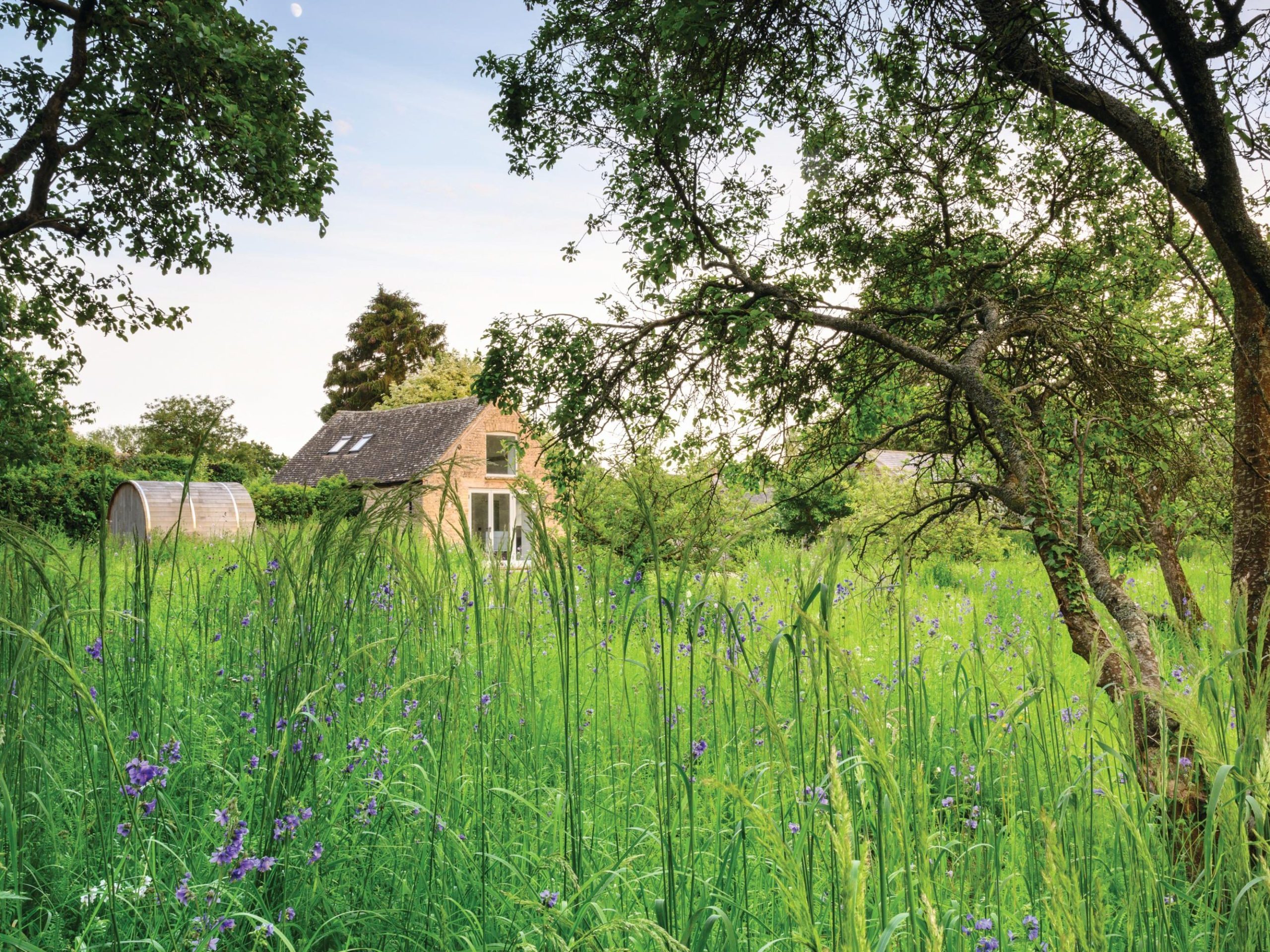 House and meadow garden