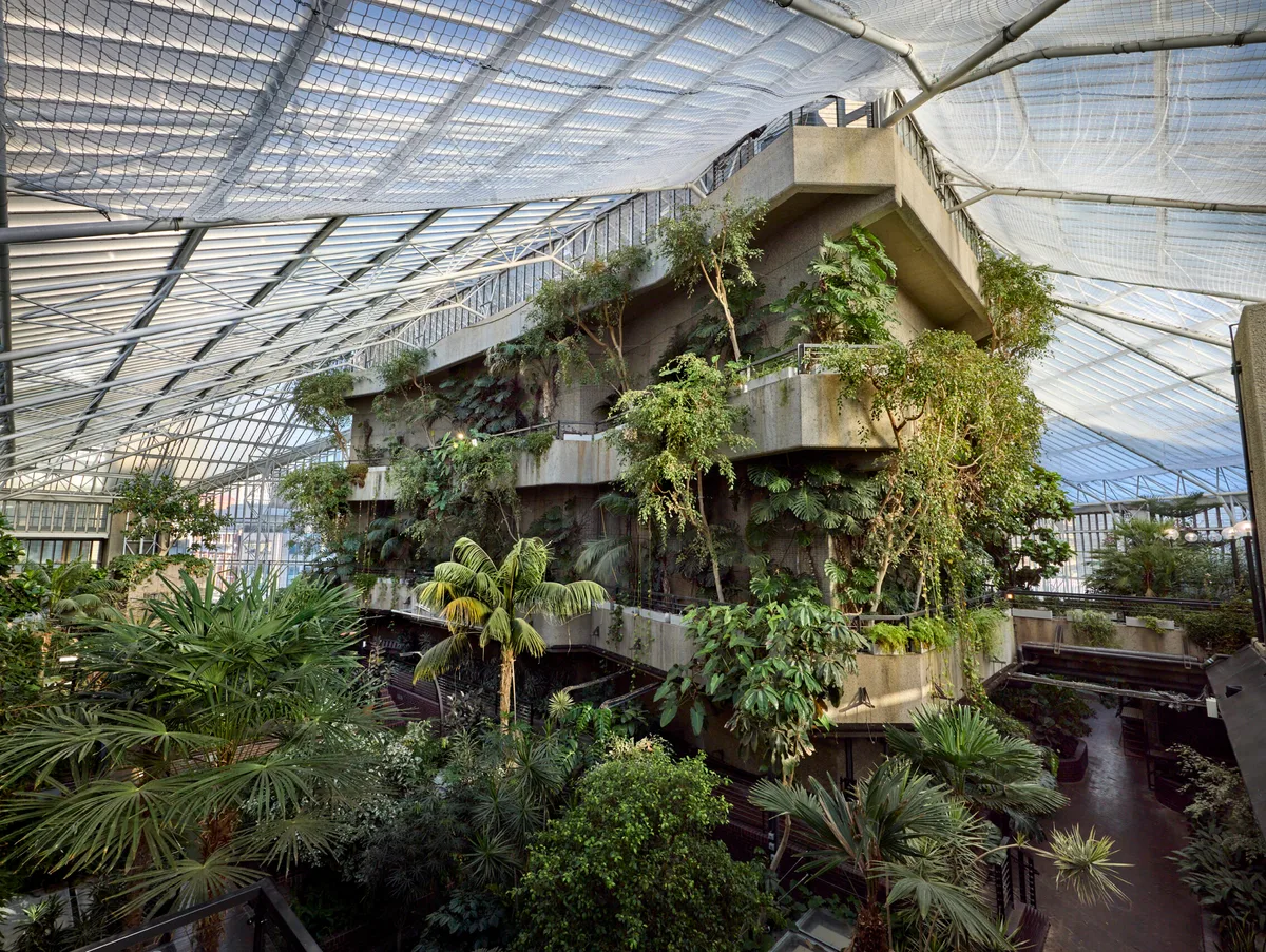 Barbican Conservatory Barbican Conservatory