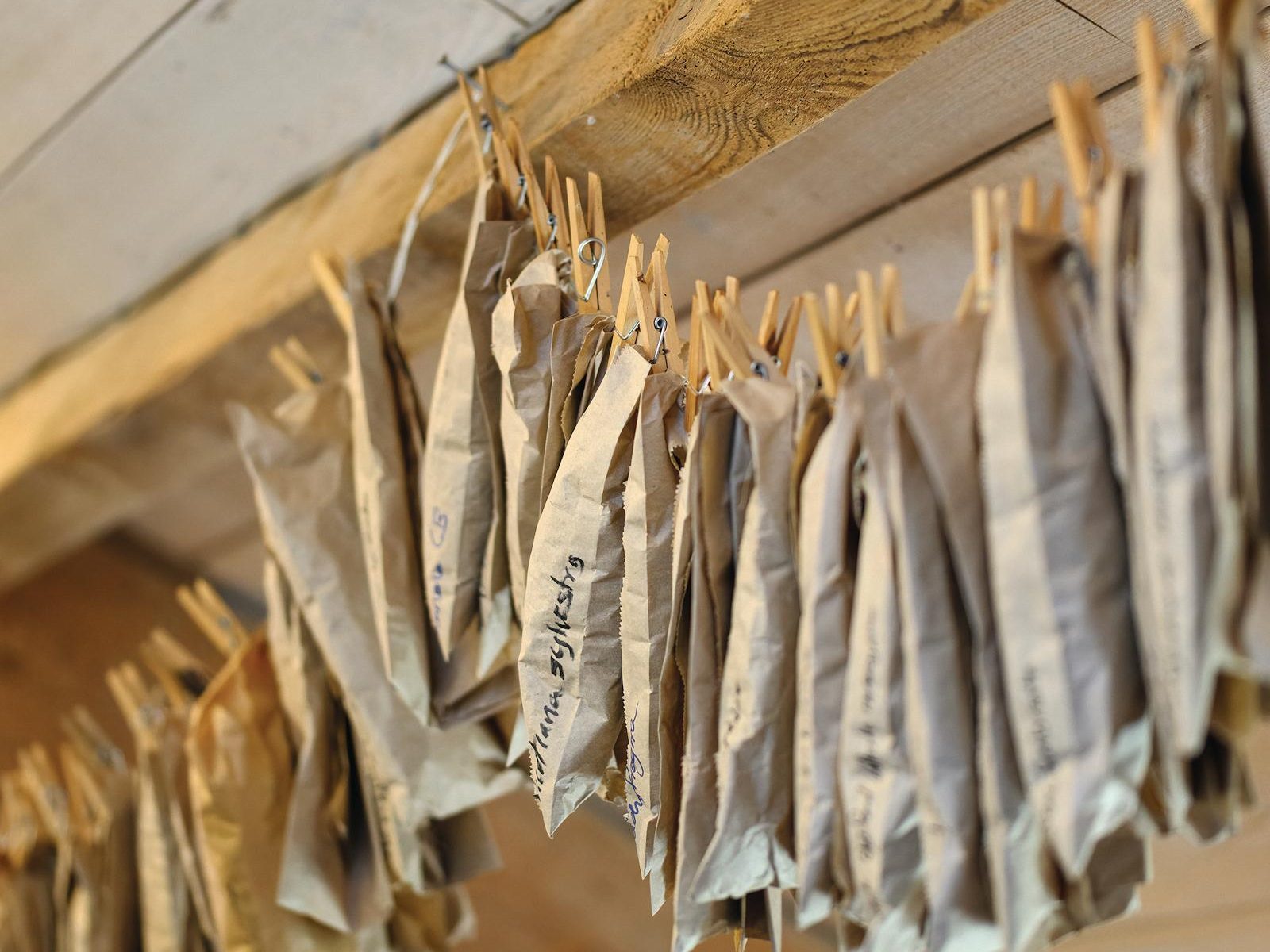 Seed bags drying