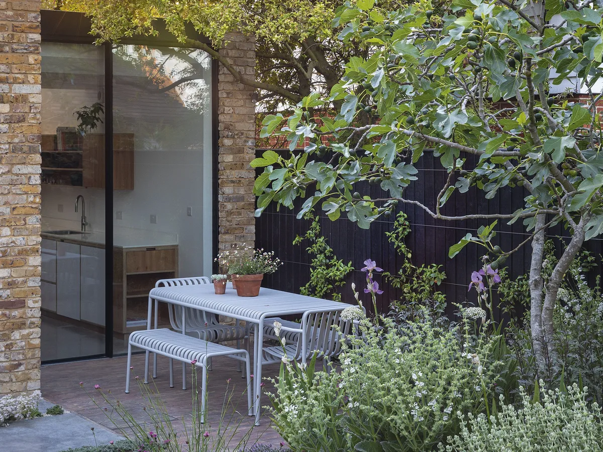 Tucked away on one side of the terrace outside the kitchen, the dining area is screened by a fig tree underplanted with trouble-free Mediterranean species, including woolly thyme, Salvia argentea, Ballota pseudodictamnus and pale-lavender irises. Tucked away on one side of the terrace outside the kitchen, the dining area is screened by a fig tree underplanted with trouble-free Mediterranean species, including woolly thyme, Salvia argentea, Ballota pseudodictamnus and pale-lavender irises.