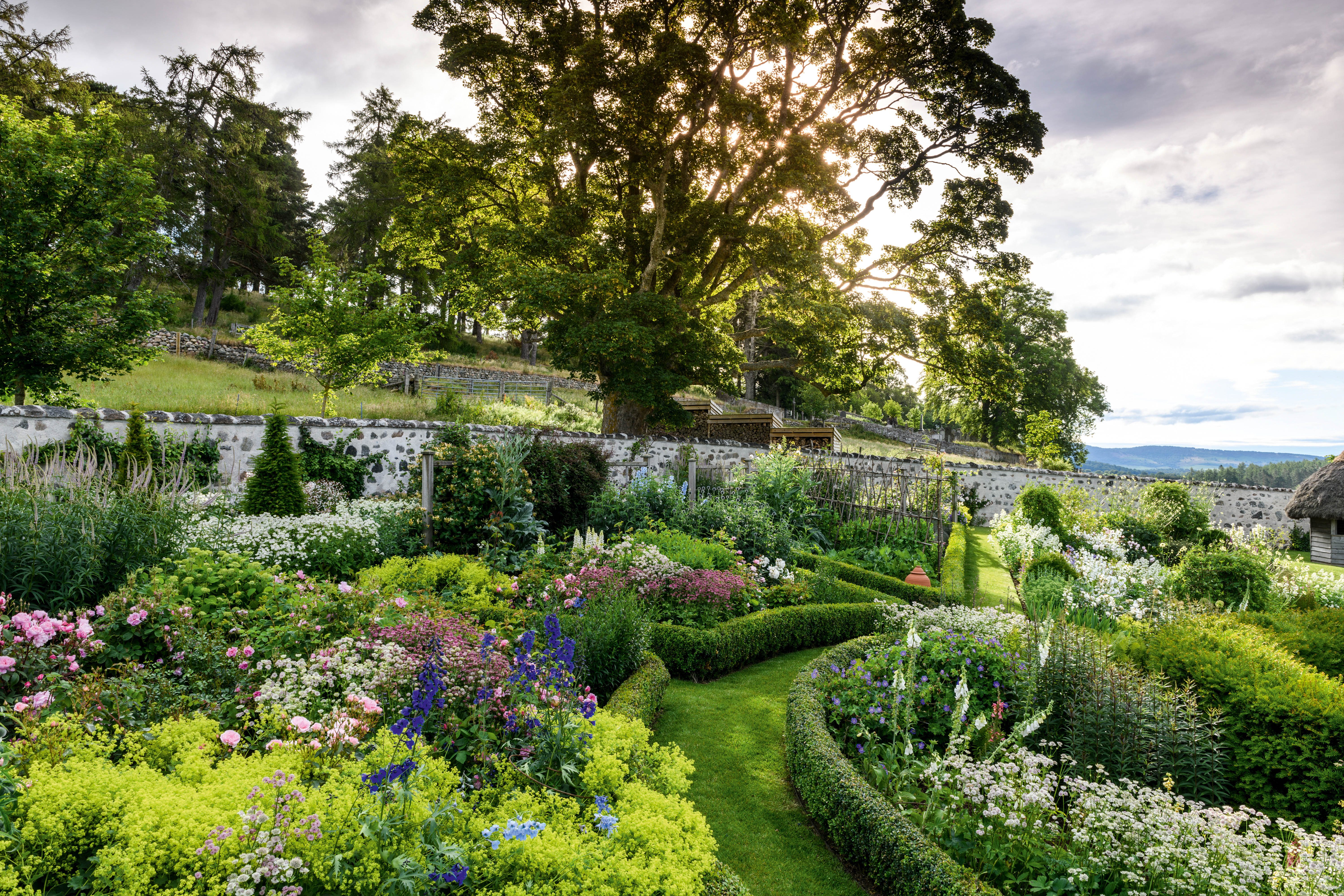 Coldstone House - Jonathan Snow Garden Design (8th July 2022)