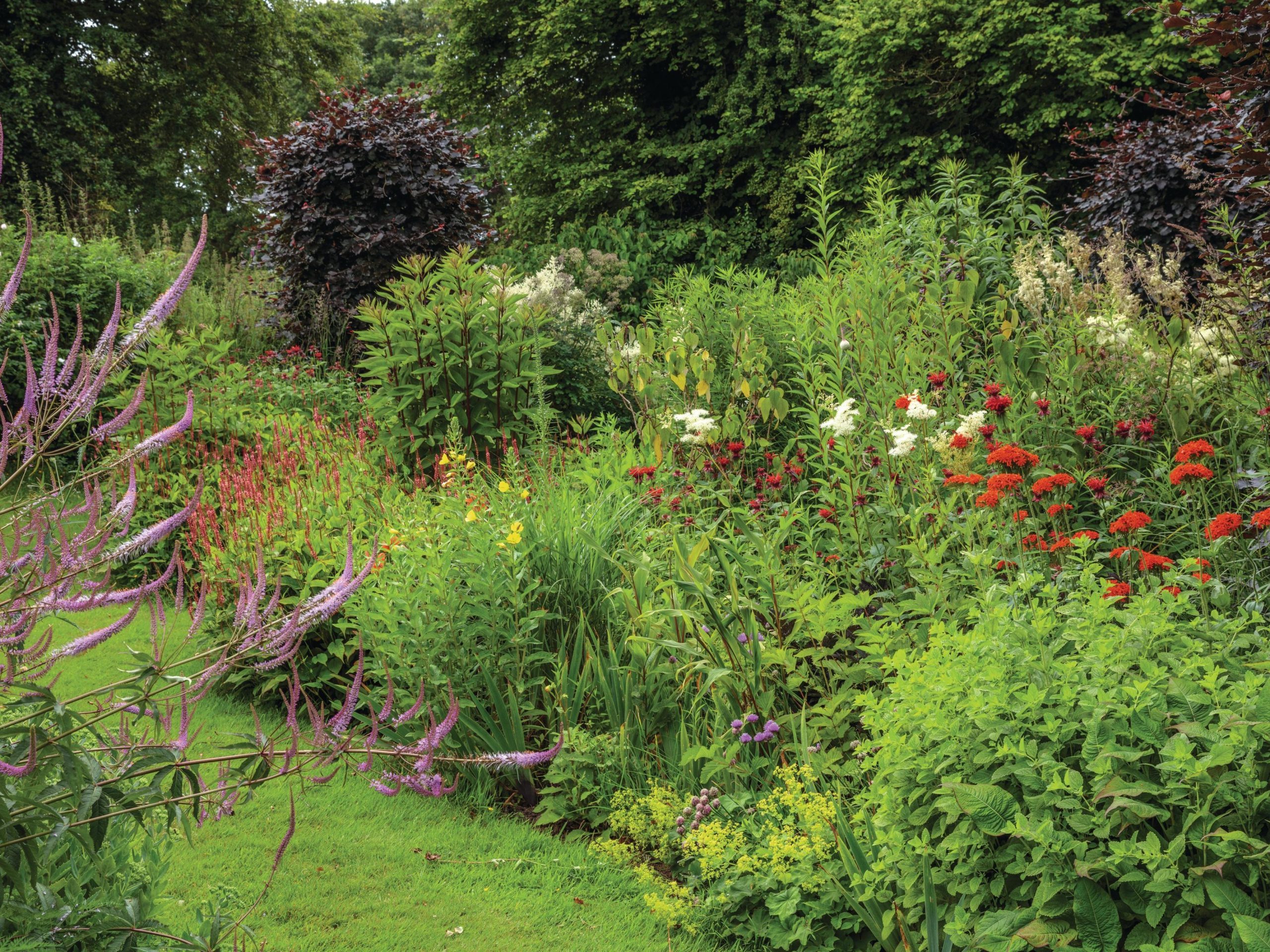 Garden border in bloom