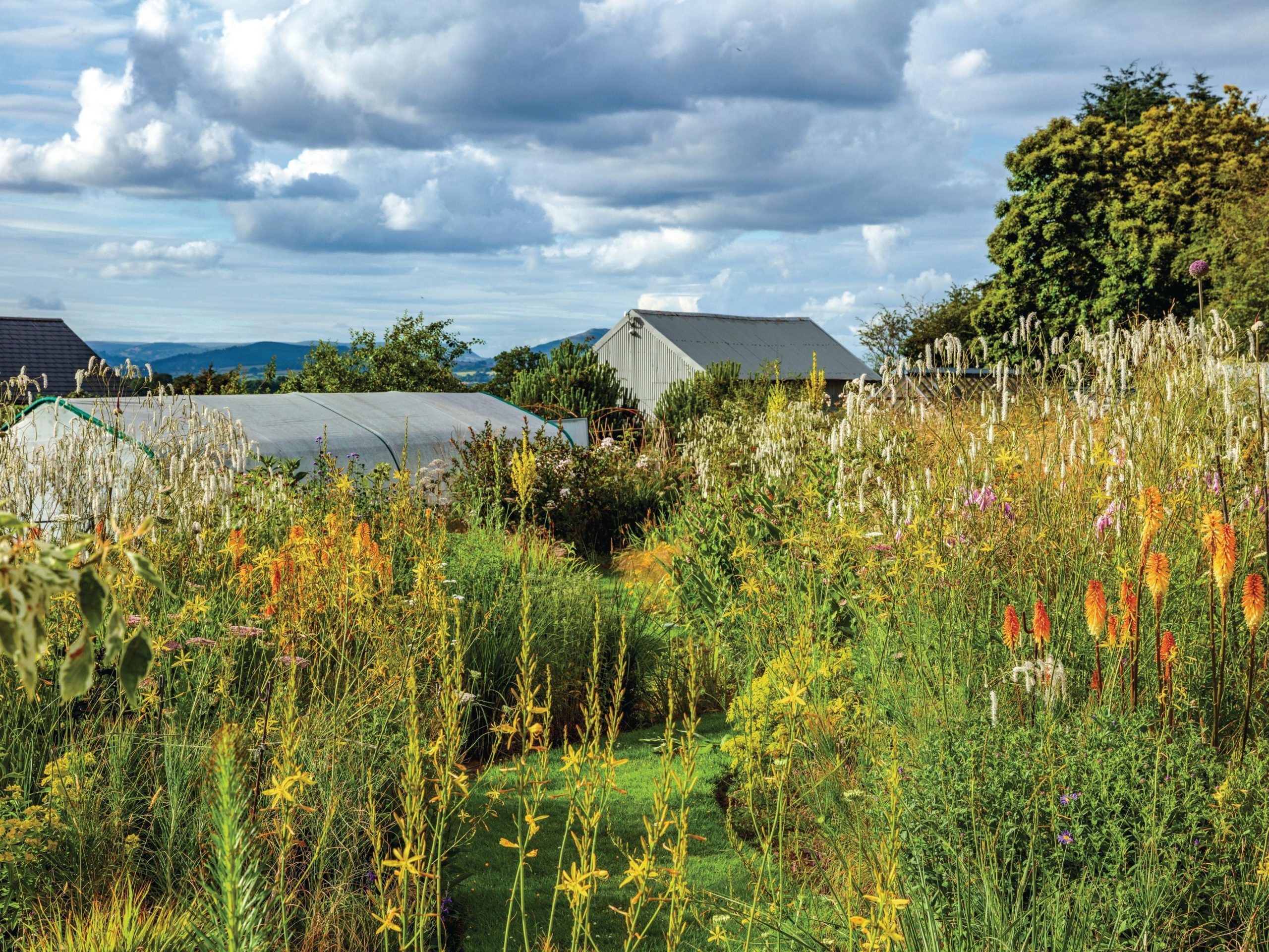 Cottage garden