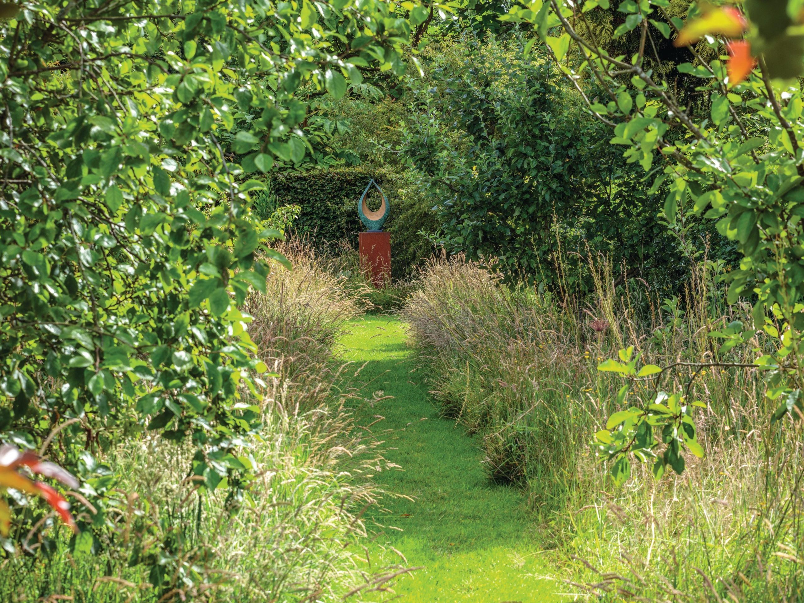 Garden trees and grassy path