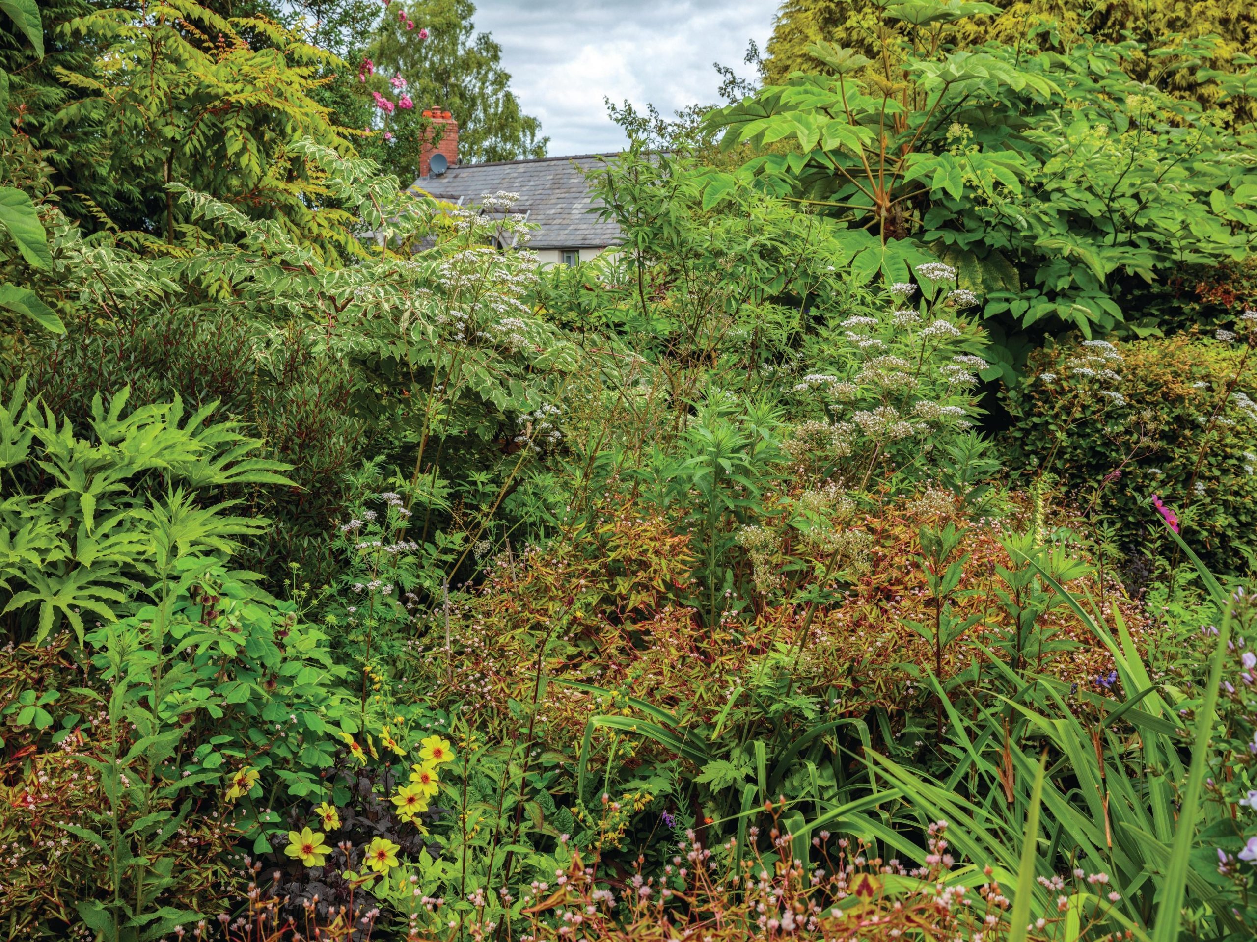 Garden border