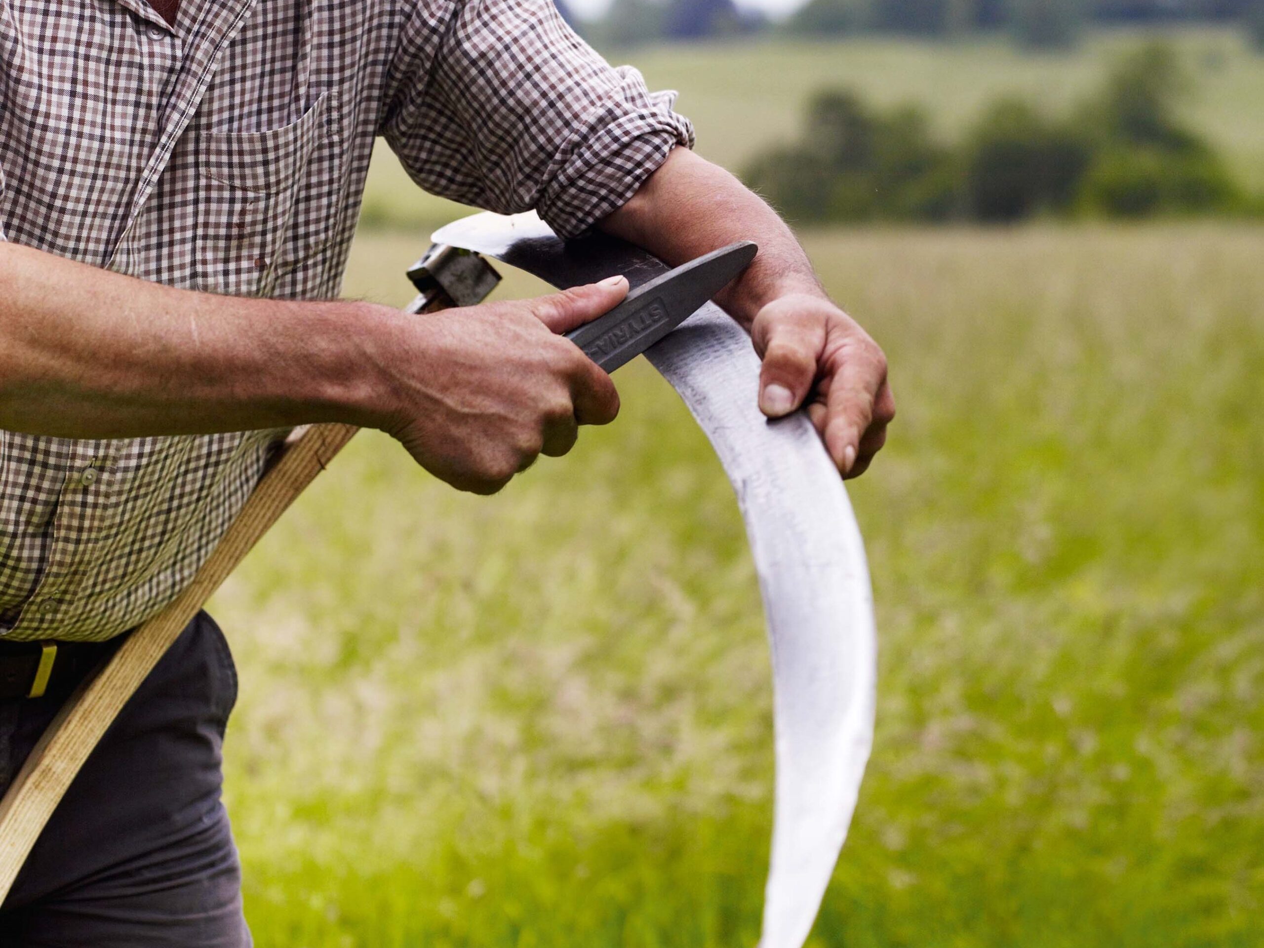Simon Damant scything in a field at the Wimpole Estate